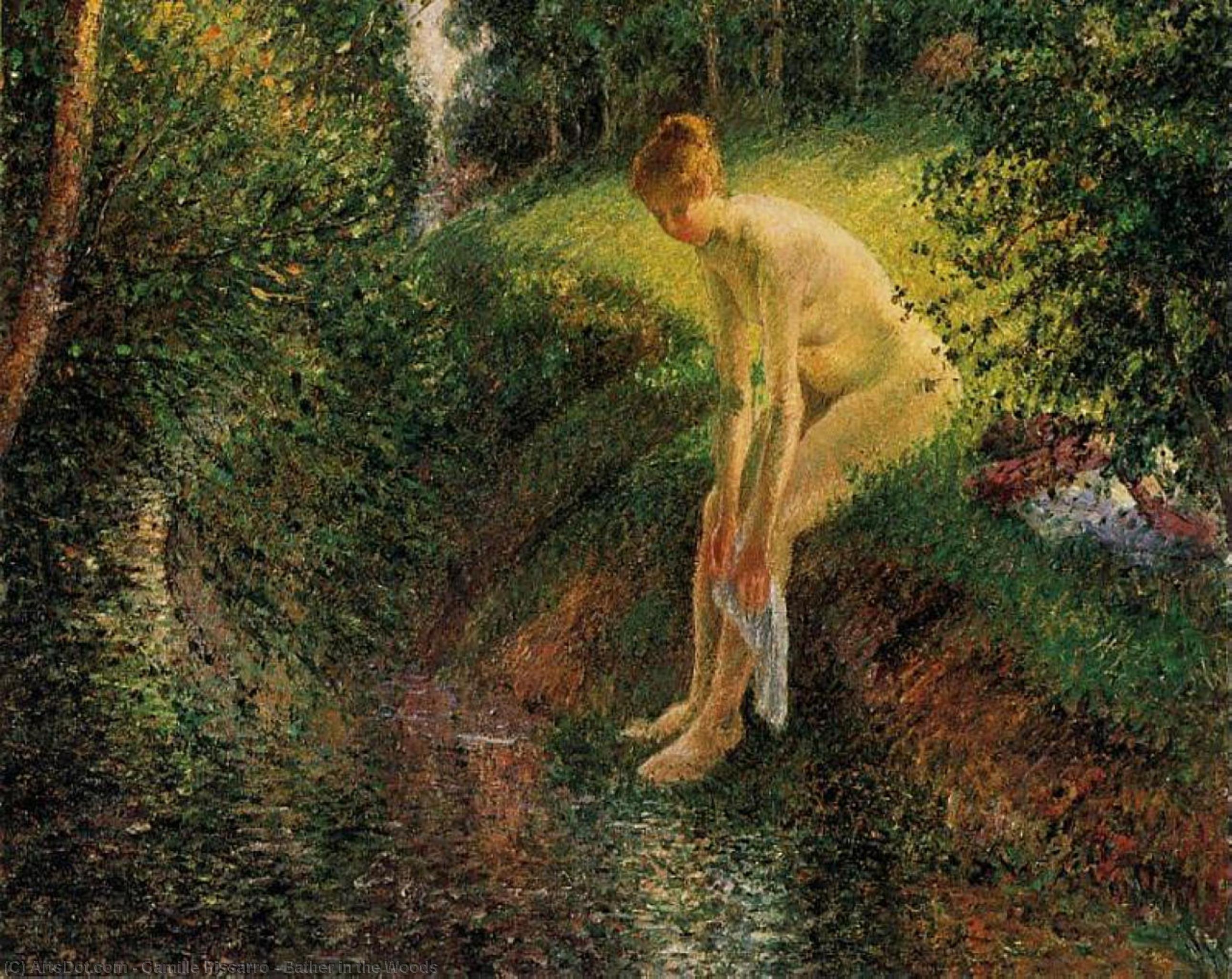 WikiOO.org - Енциклопедия за изящни изкуства - Живопис, Произведения на изкуството Camille Pissarro - Bather in the Woods