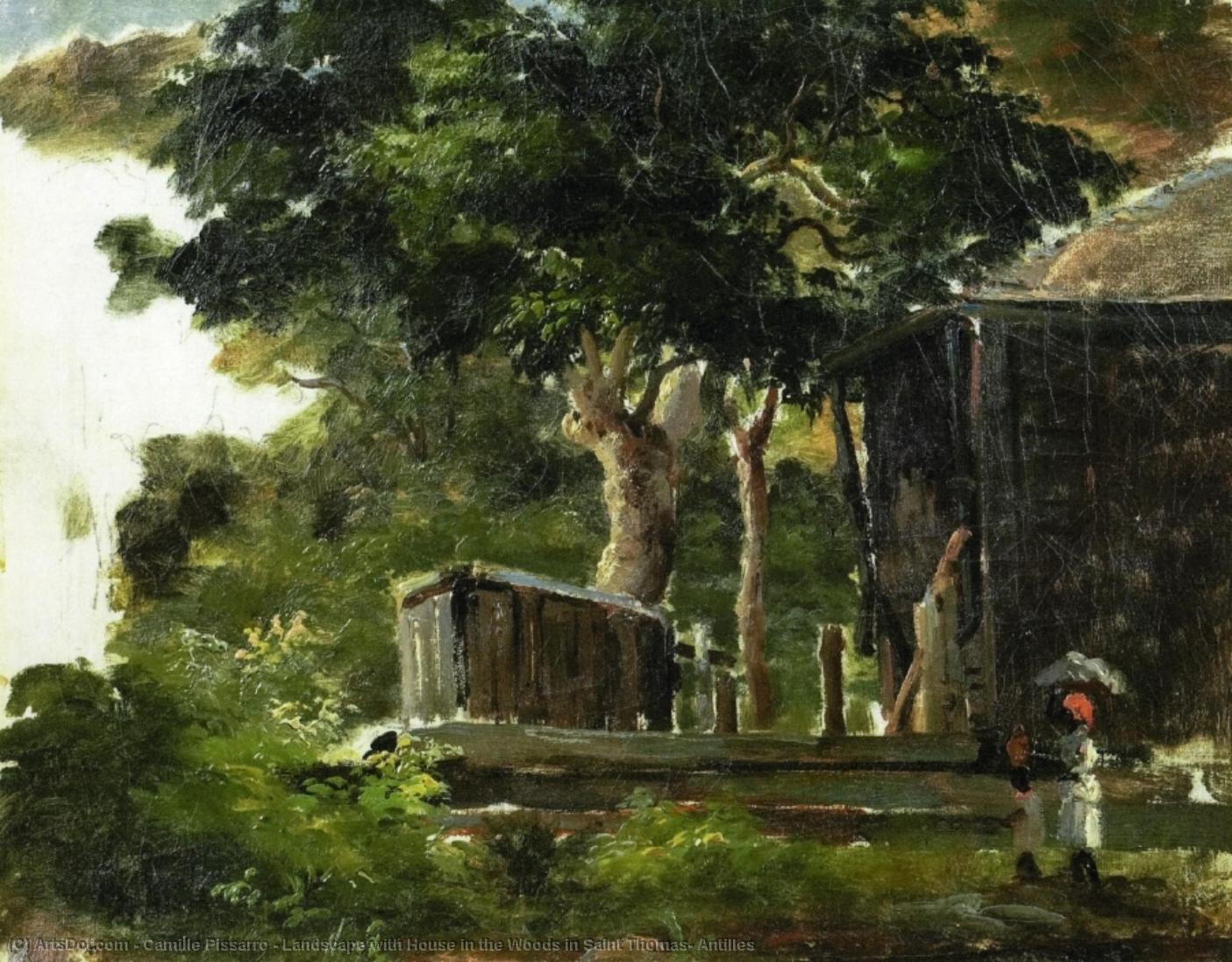 Wikioo.org - The Encyclopedia of Fine Arts - Painting, Artwork by Camille Pissarro - Landscape with House in the Woods in Saint Thomas, Antilles