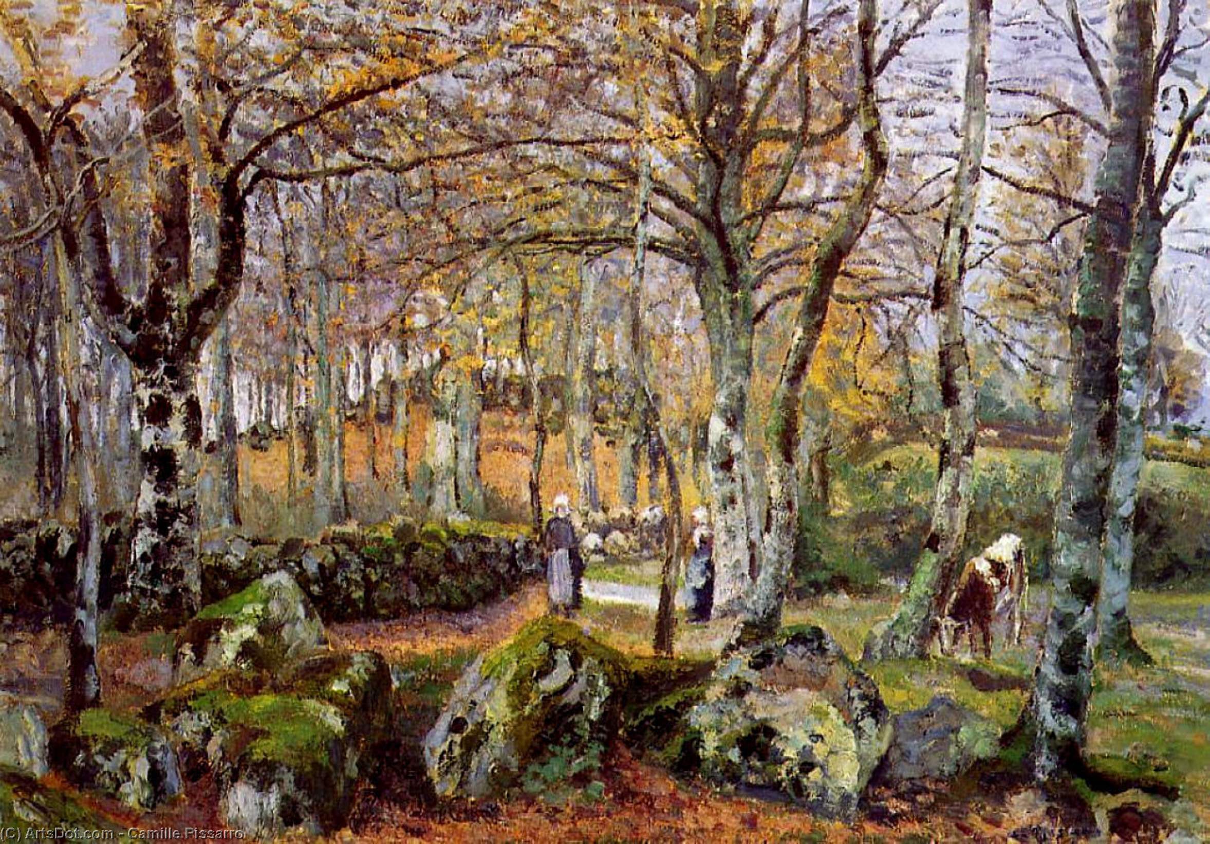 WikiOO.org - Enciclopedia of Fine Arts - Pictura, lucrări de artă Camille Pissarro - Landscape with Rocks, Montfoucault