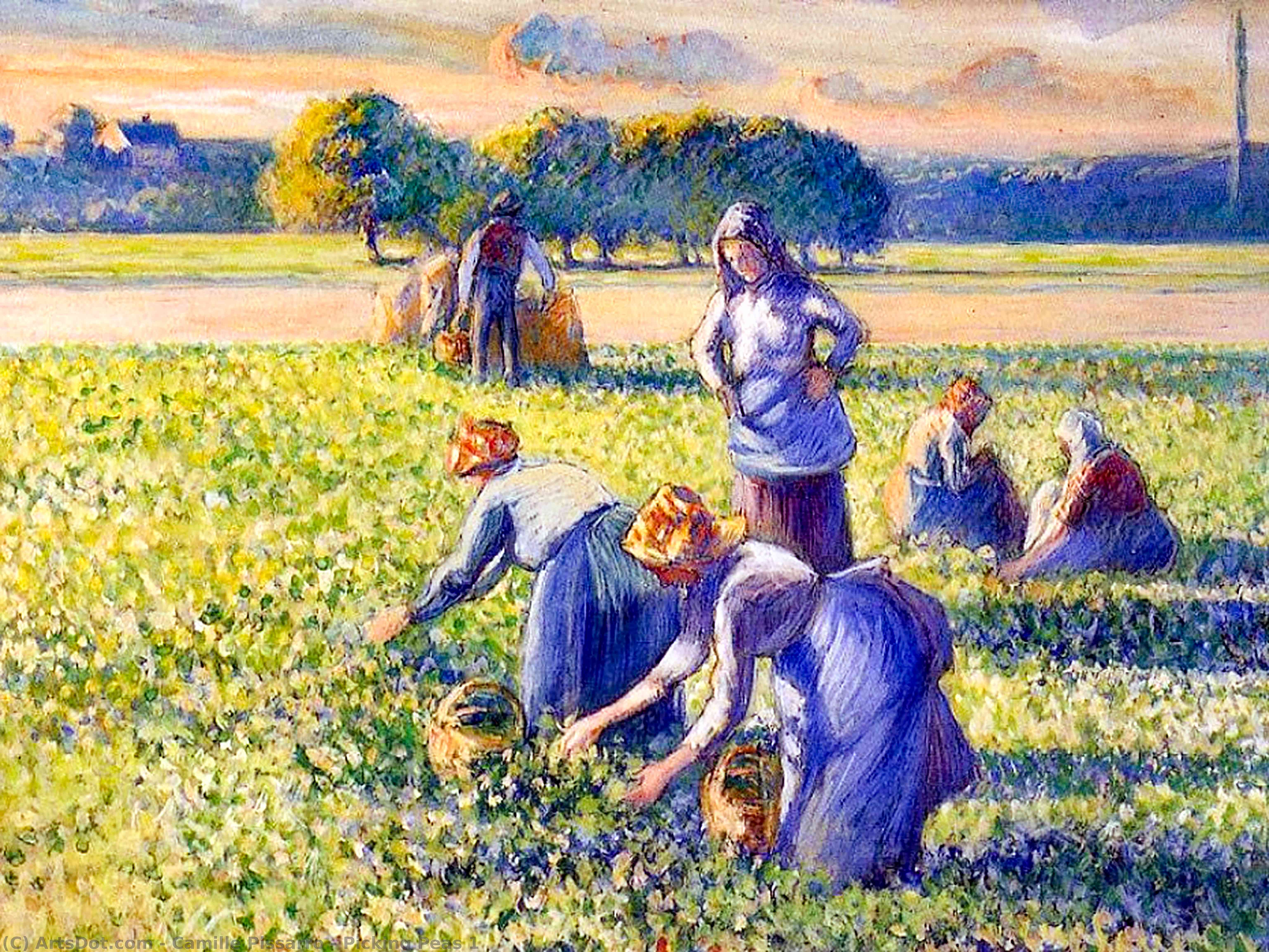 Wikoo.org - موسوعة الفنون الجميلة - اللوحة، العمل الفني Camille Pissarro - Picking Peas 1