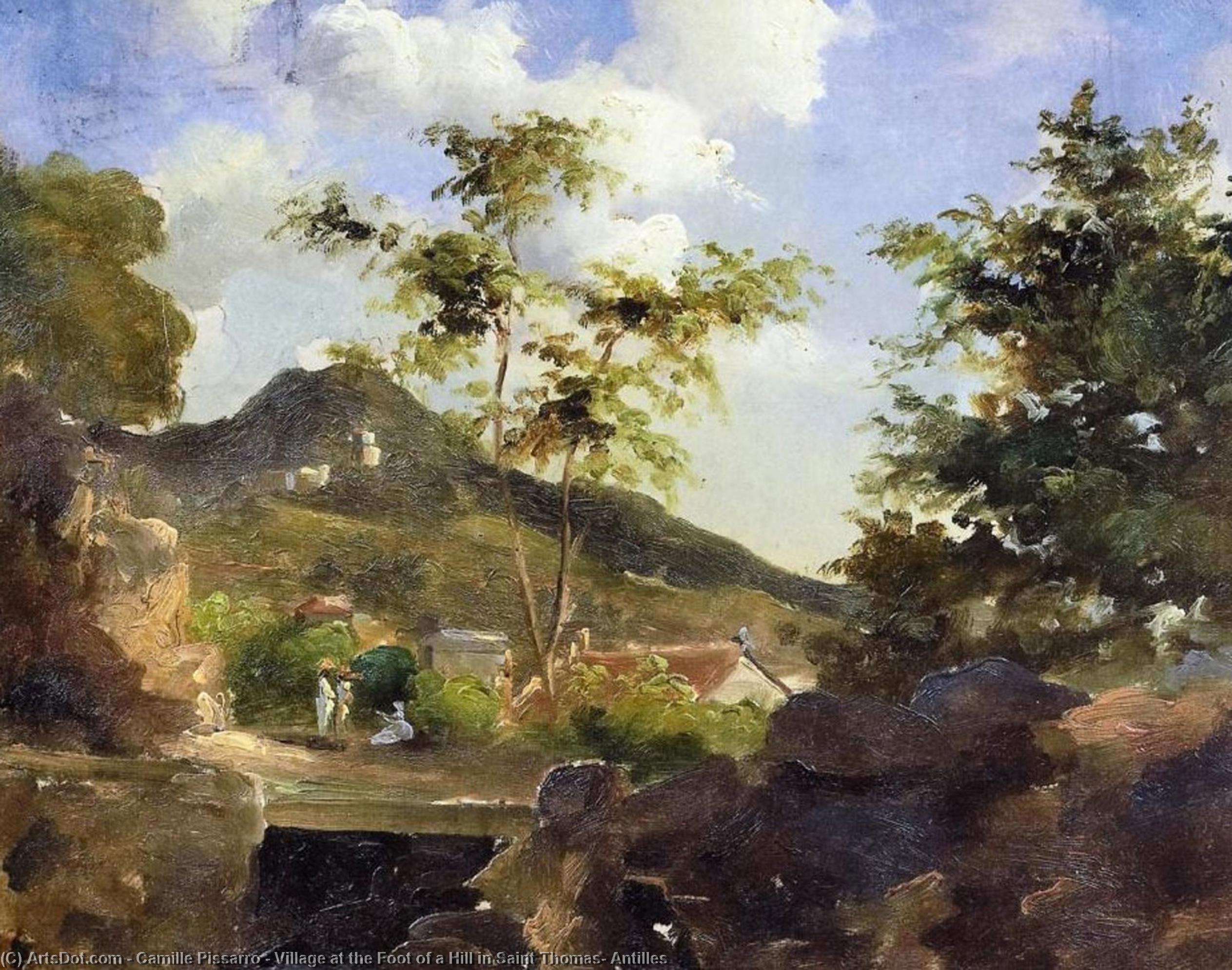 Wikioo.org - The Encyclopedia of Fine Arts - Painting, Artwork by Camille Pissarro - Village at the Foot of a Hill in Saint Thomas, Antilles