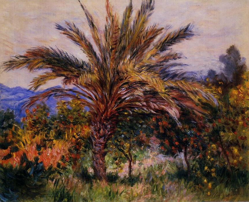 Wikioo.org - The Encyclopedia of Fine Arts - Painting, Artwork by Claude Monet - A Palm Tree at Bordighera