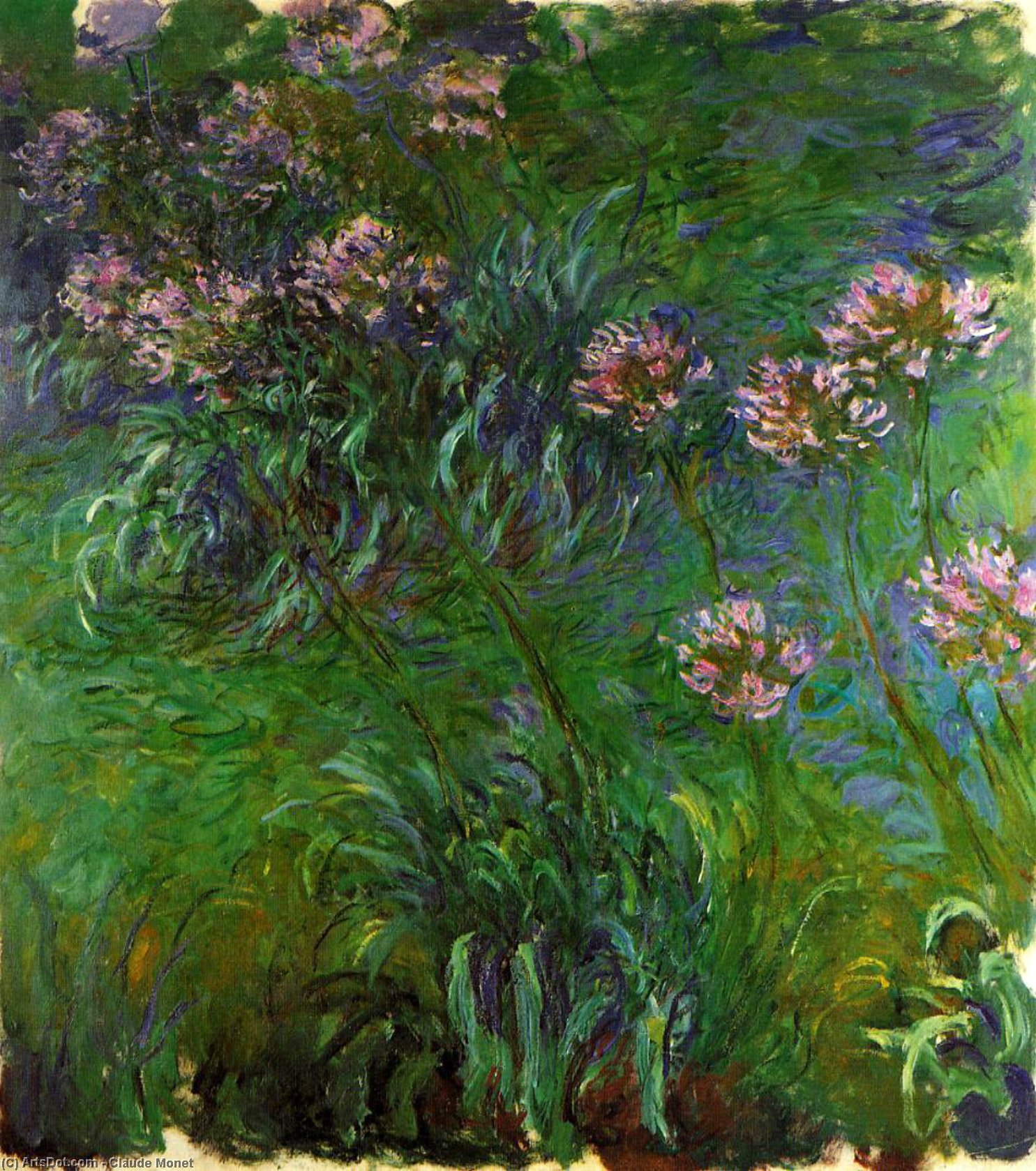 WikiOO.org - Енциклопедия за изящни изкуства - Живопис, Произведения на изкуството Claude Monet - Agapanathus