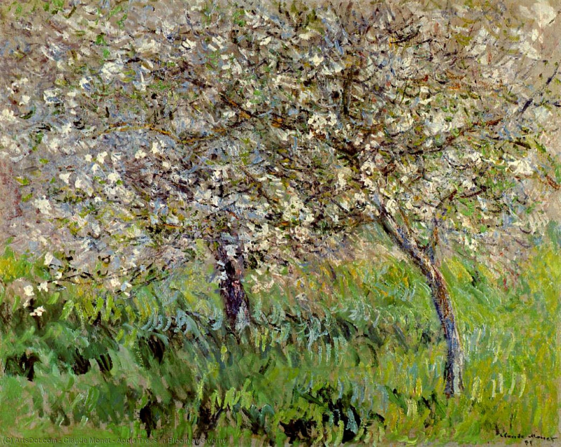 WikiOO.org - 百科事典 - 絵画、アートワーク Claude Monet - リンゴの木 インチ  ブルーム  で  ジヴェルニー