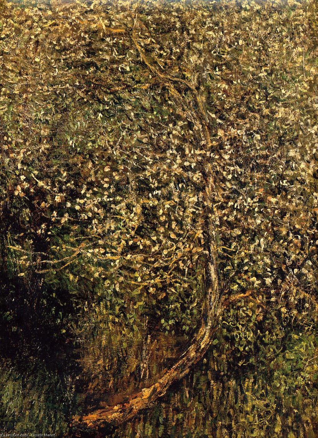 Wikioo.org - The Encyclopedia of Fine Arts - Painting, Artwork by Claude Monet - Apple Trees in Blossom by the Water