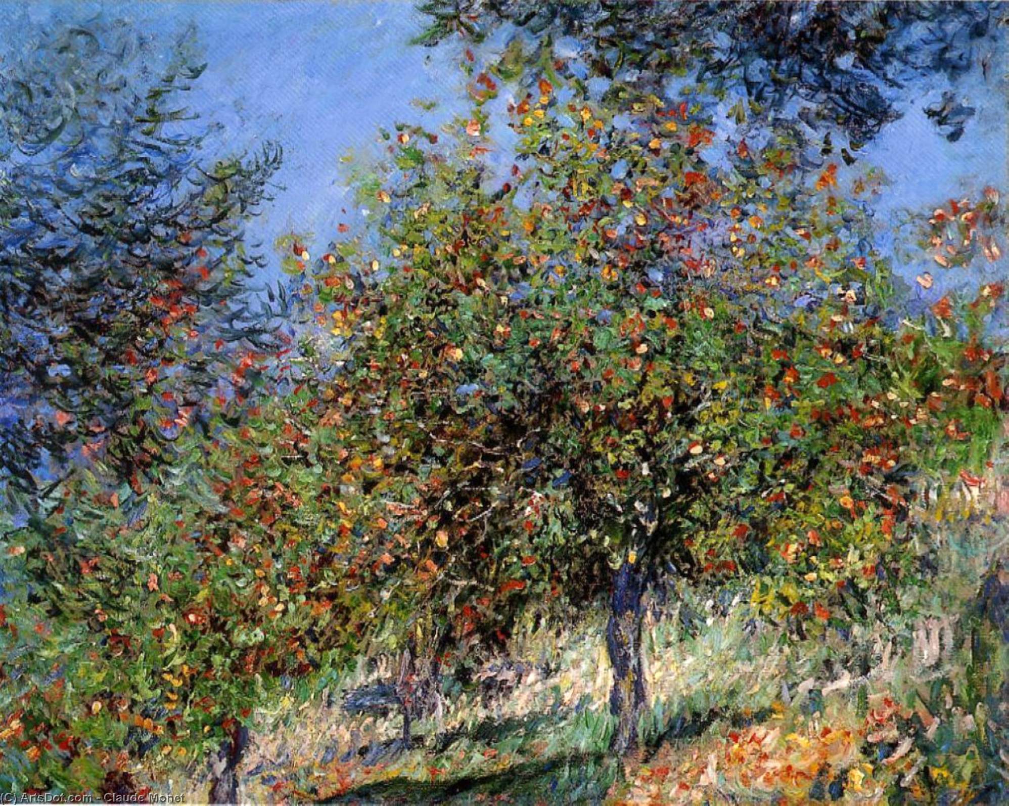 Wikioo.org - The Encyclopedia of Fine Arts - Painting, Artwork by Claude Monet - Apple Trees on the Chantemesle Hill