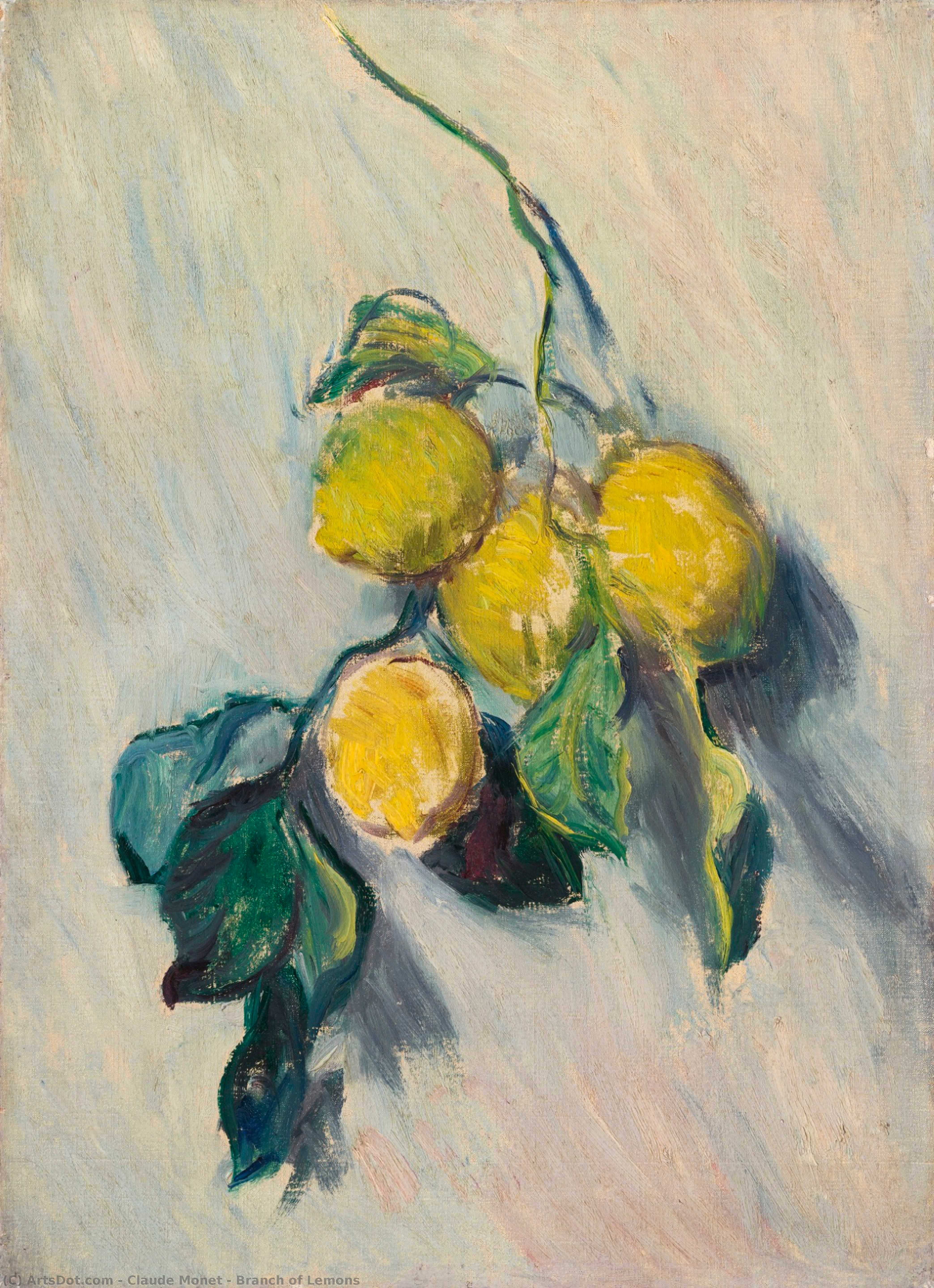 WikiOO.org - دایره المعارف هنرهای زیبا - نقاشی، آثار هنری Claude Monet - Branch of Lemons
