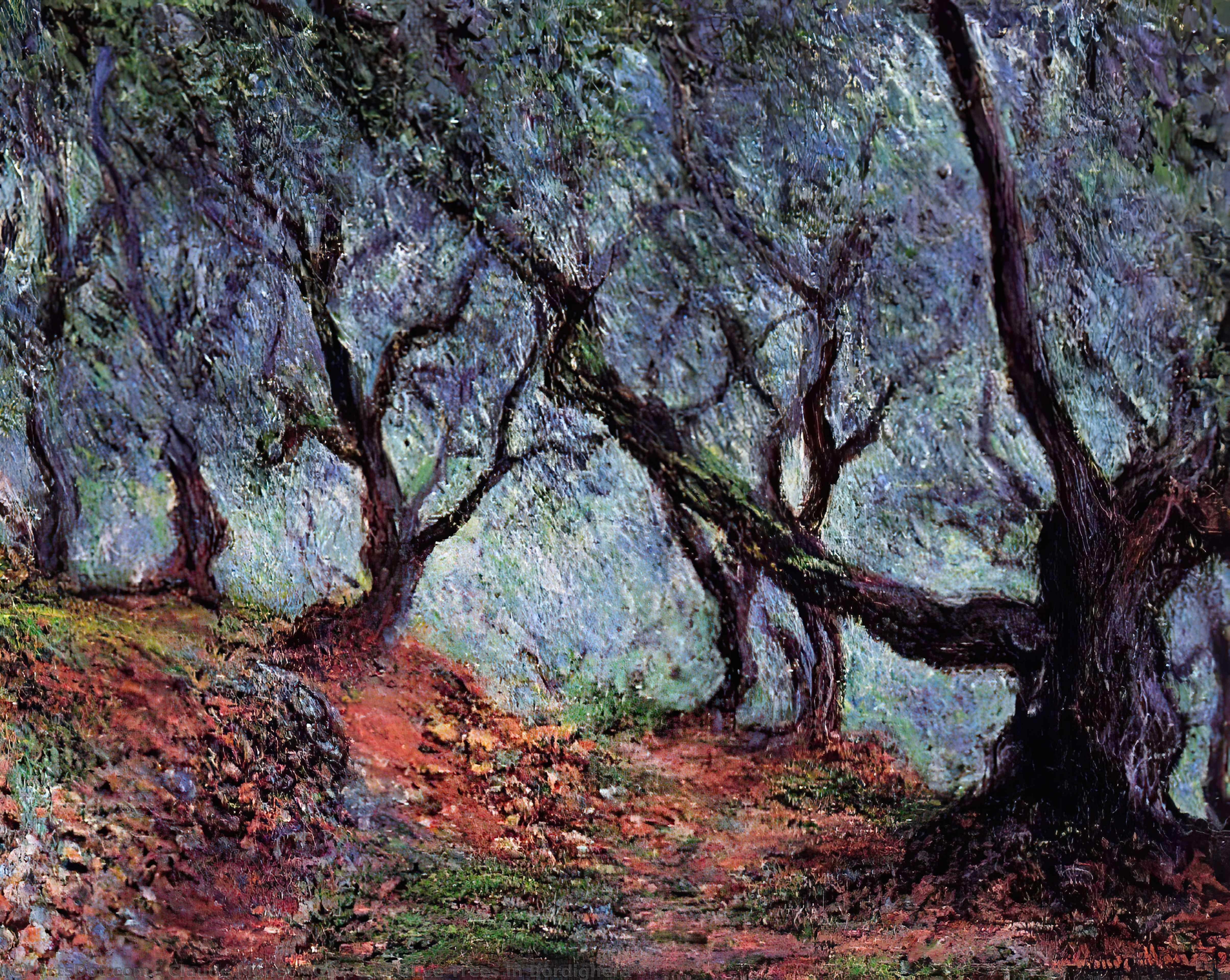 Wikoo.org - موسوعة الفنون الجميلة - اللوحة، العمل الفني Claude Monet - Grove of Olive Trees in Bordighera