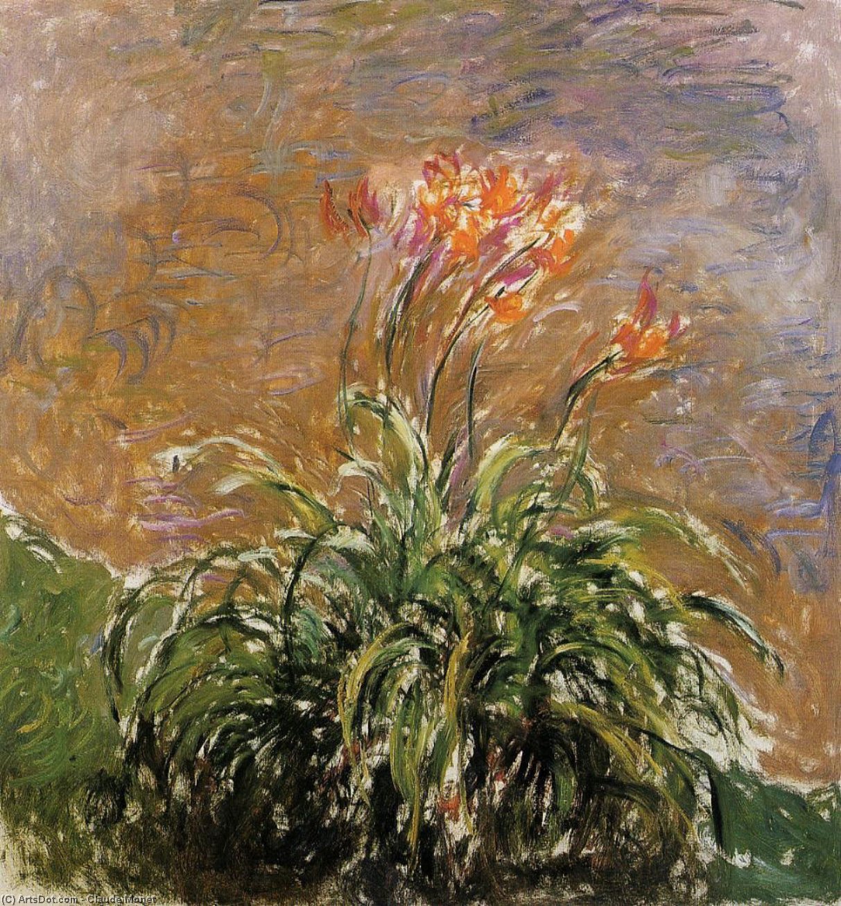 Wikioo.org - The Encyclopedia of Fine Arts - Painting, Artwork by Claude Monet - Hamerocallis