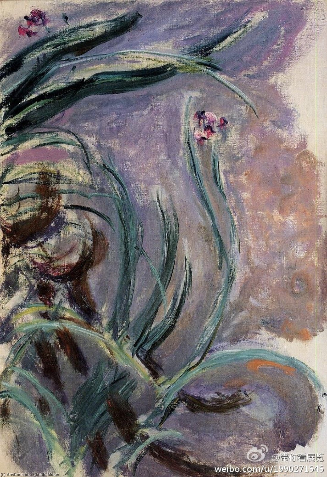 Wikioo.org – L'Enciclopedia delle Belle Arti - Pittura, Opere di Claude Monet - Iris