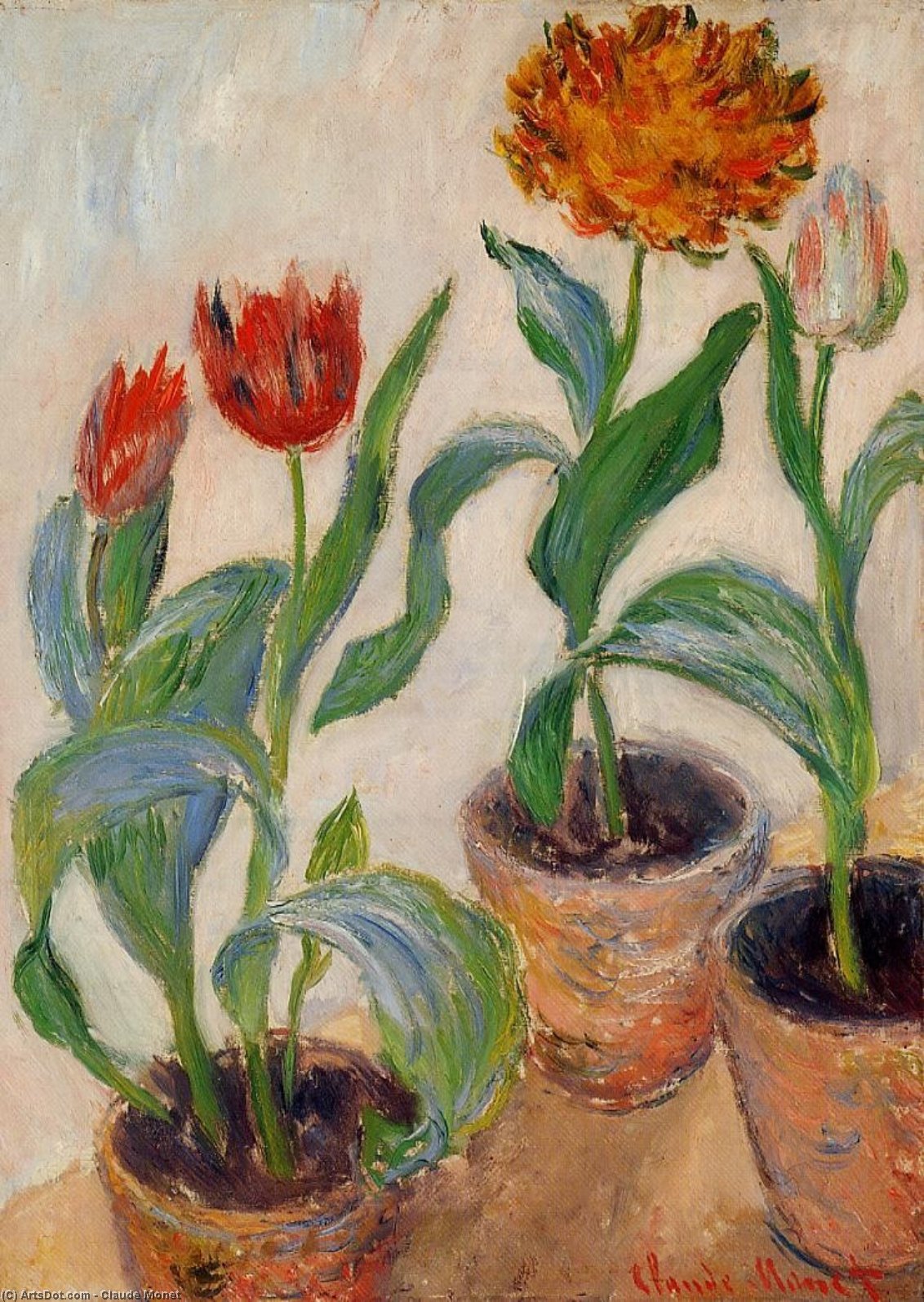 Wikioo.org - Die Enzyklopädie bildender Kunst - Malerei, Kunstwerk von Claude Monet - drei töpfe tulpen