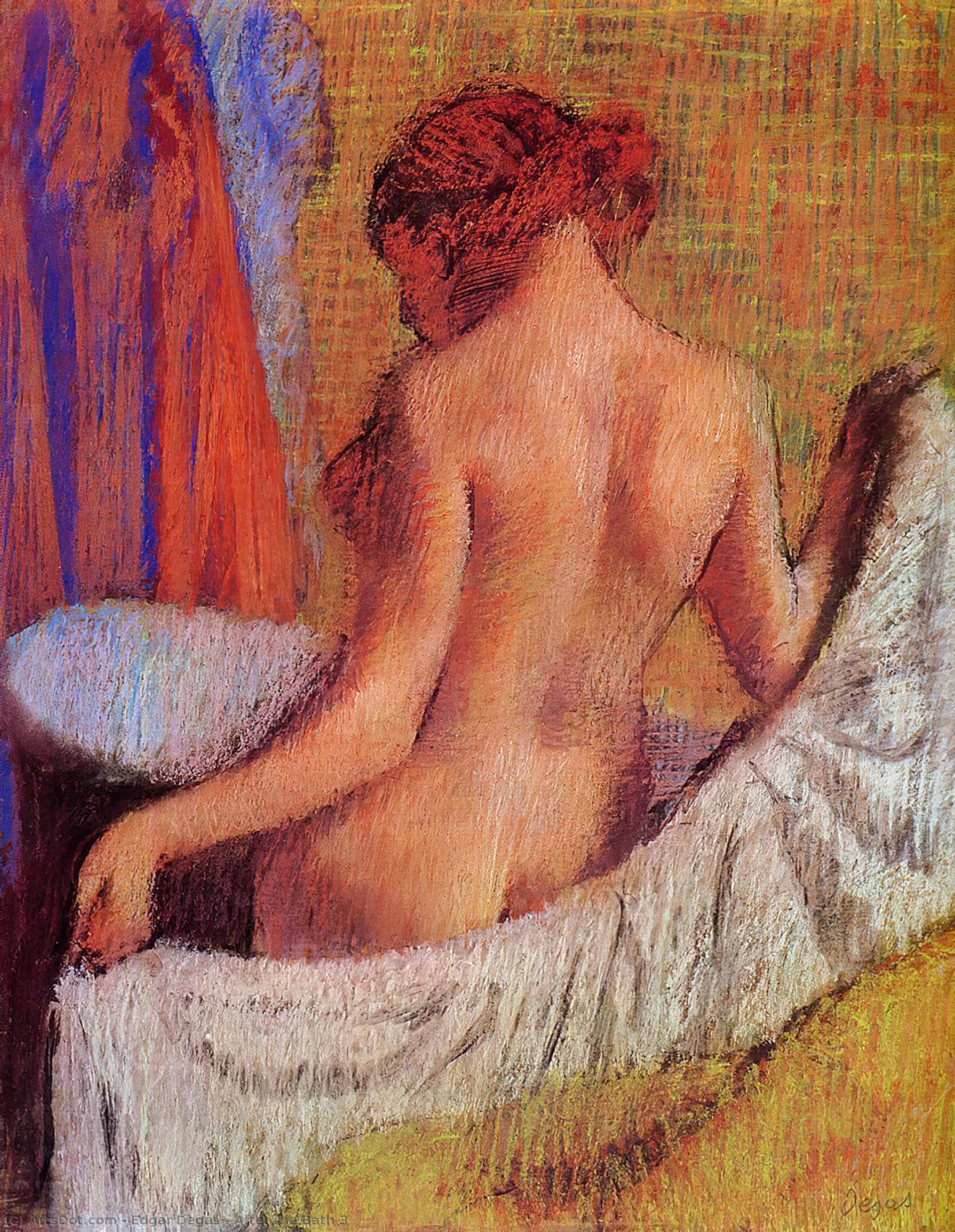 Wikioo.org - The Encyclopedia of Fine Arts - Painting, Artwork by Edgar Degas - After the Bath 3