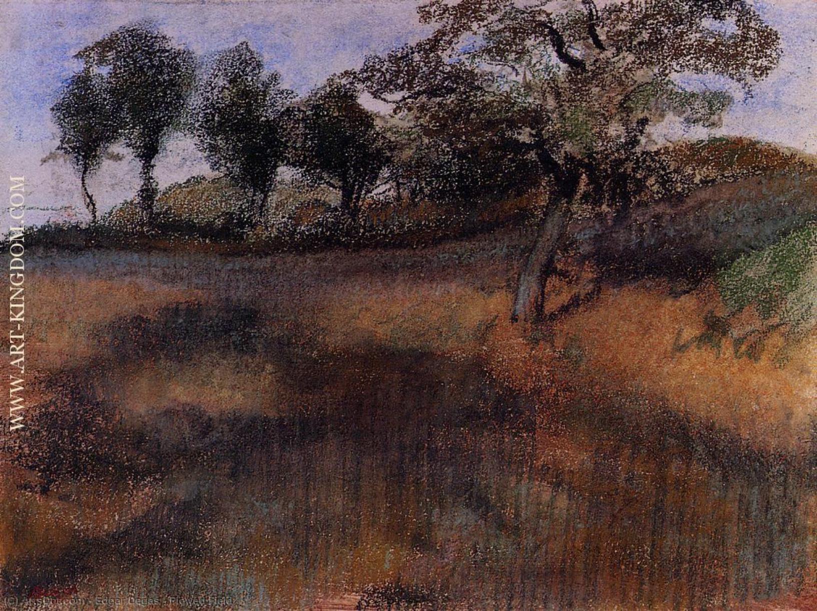 WikiOO.org - Encyclopedia of Fine Arts - Målning, konstverk Edgar Degas - Plowed Field