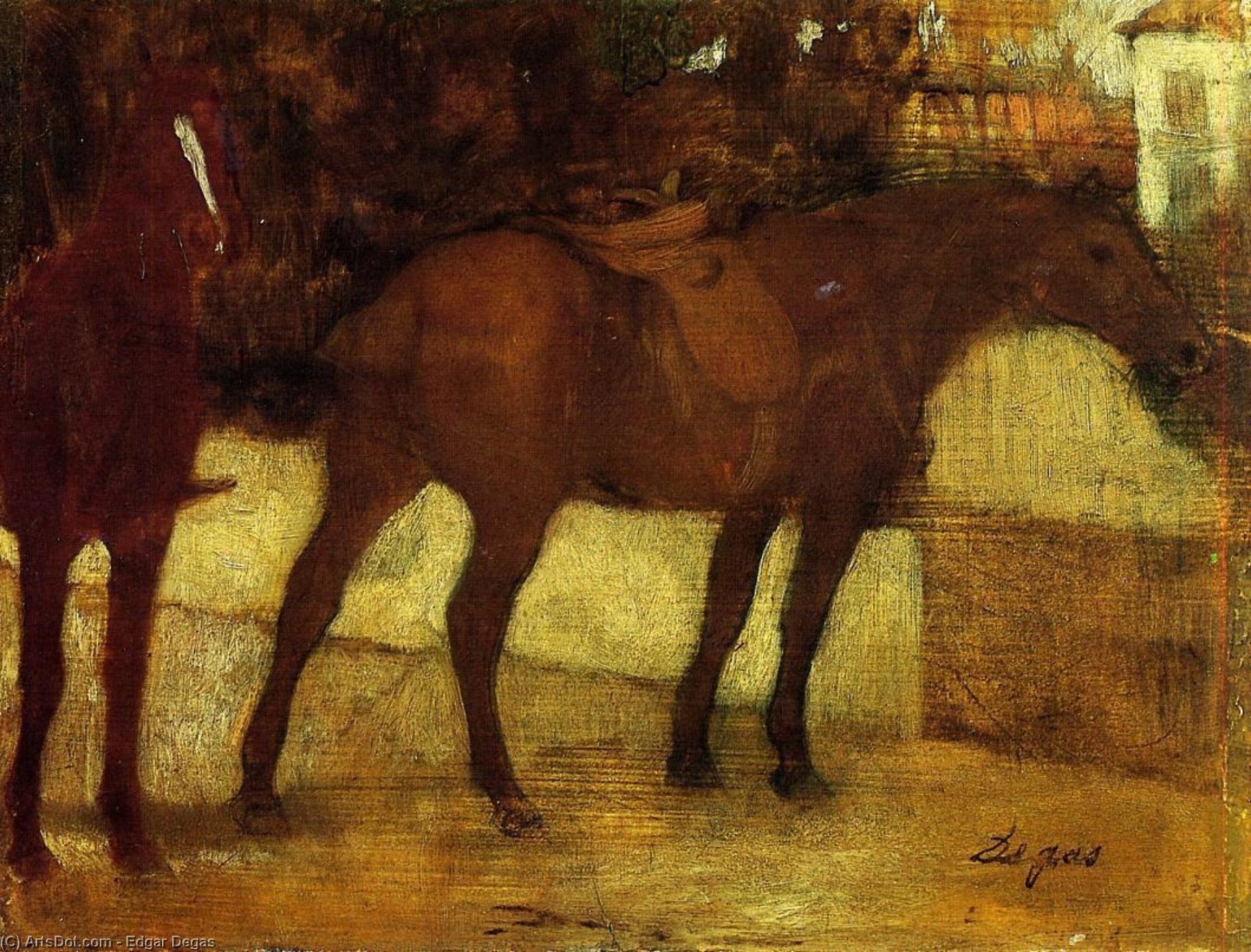 Wikioo.org - The Encyclopedia of Fine Arts - Painting, Artwork by Edgar Degas - Study of Horses