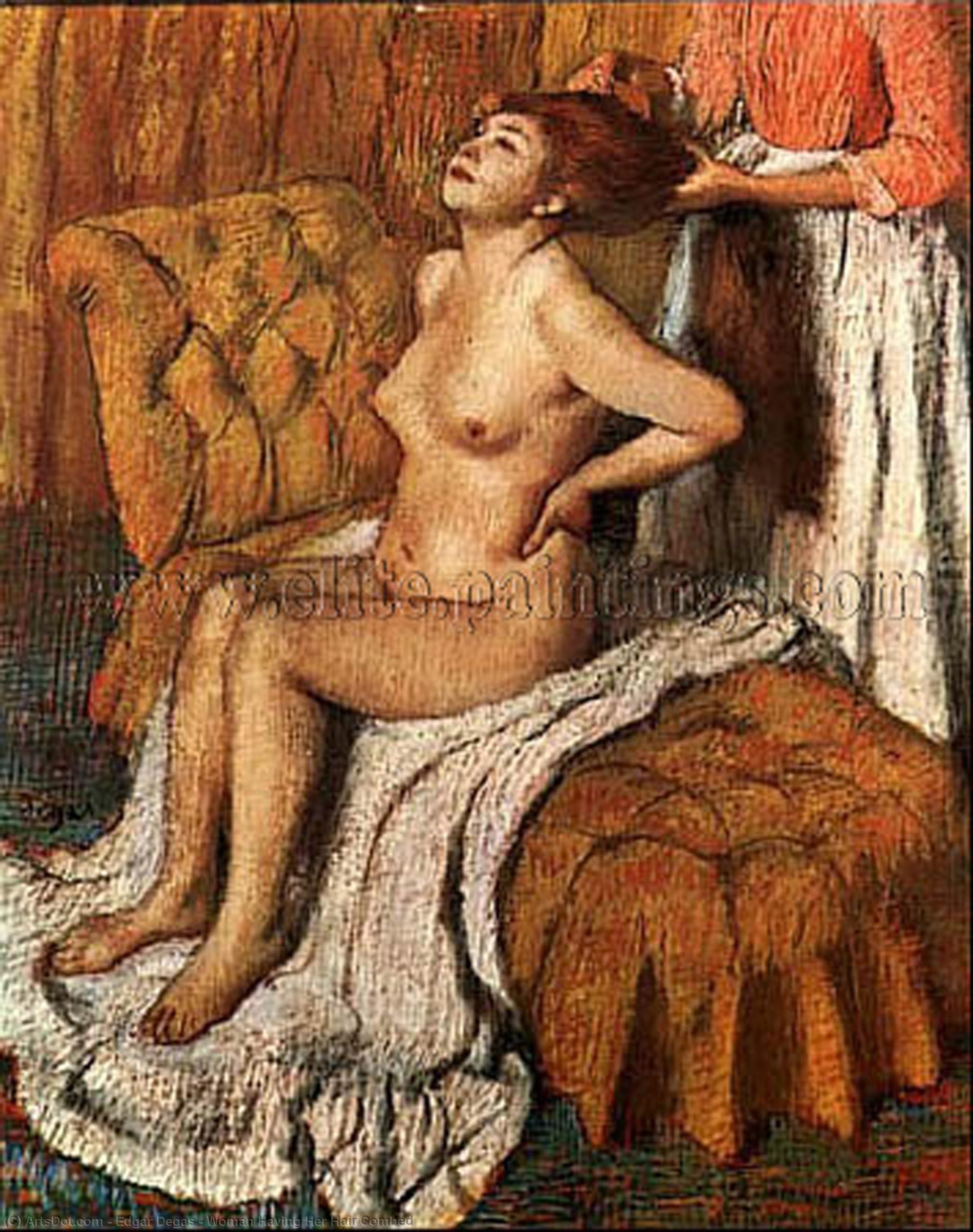 Wikioo.org - Die Enzyklopädie bildender Kunst - Malerei, Kunstwerk von Edgar Degas - frau mit  ihr  Haar  gekämmt