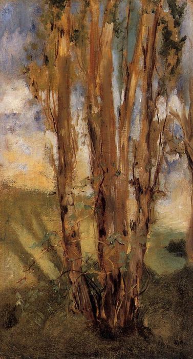 Wikioo.org - The Encyclopedia of Fine Arts - Painting, Artwork by Edouard Manet - Study of trees