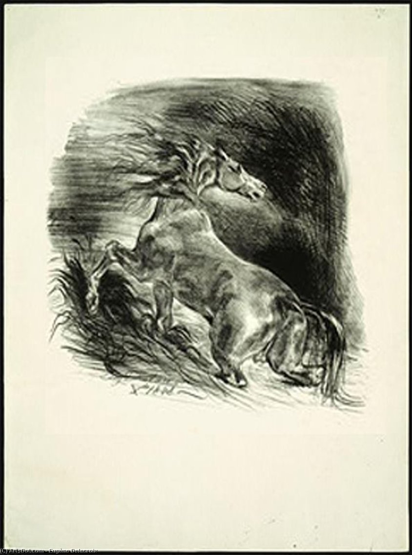 Wikioo.org - The Encyclopedia of Fine Arts - Painting, Artwork by Eugène Delacroix - Wild Horse Coming out of the Water. Cheval sauvage