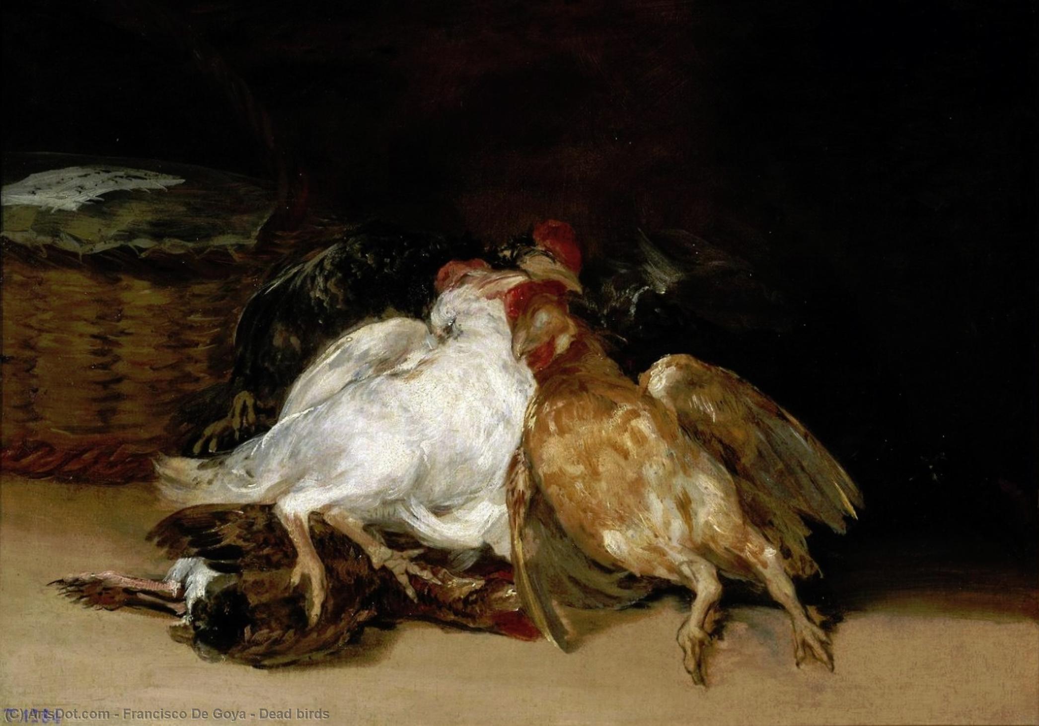 Wikioo.org – La Enciclopedia de las Bellas Artes - Pintura, Obras de arte de Francisco De Goya - muerto aves