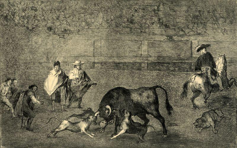 Wikioo.org - The Encyclopedia of Fine Arts - Painting, Artwork by Francisco De Goya - Perros al toro