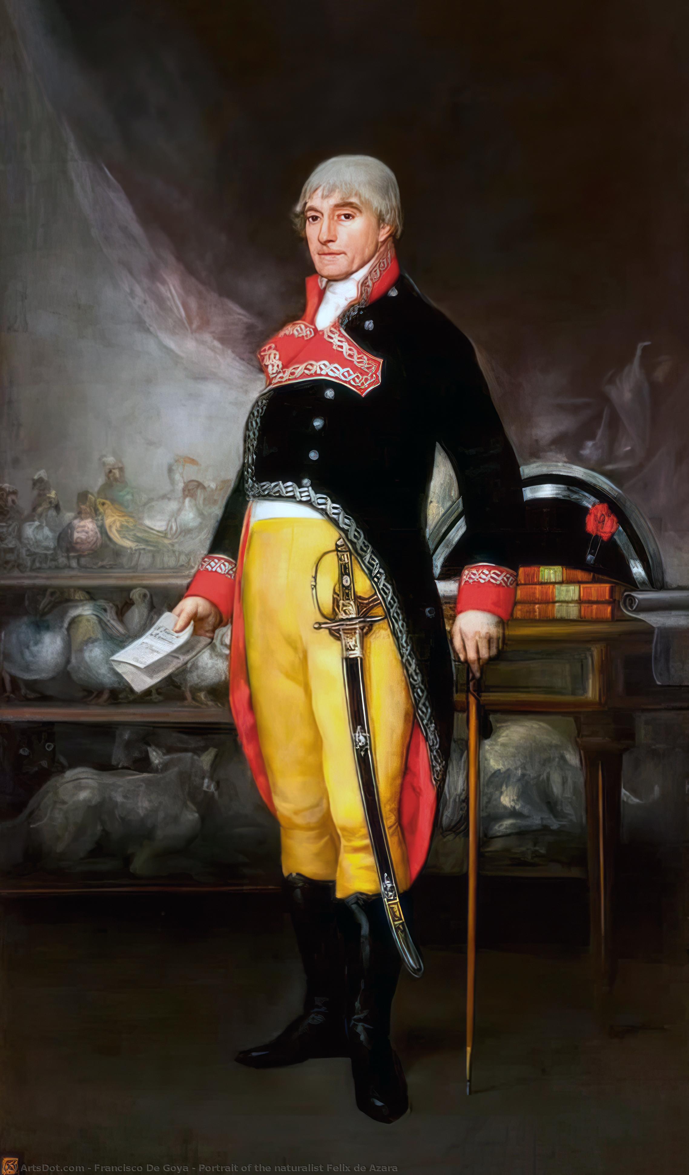 WikiOO.org - Encyclopedia of Fine Arts - Maalaus, taideteos Francisco De Goya - Portrait of the naturalist Felix de Azara