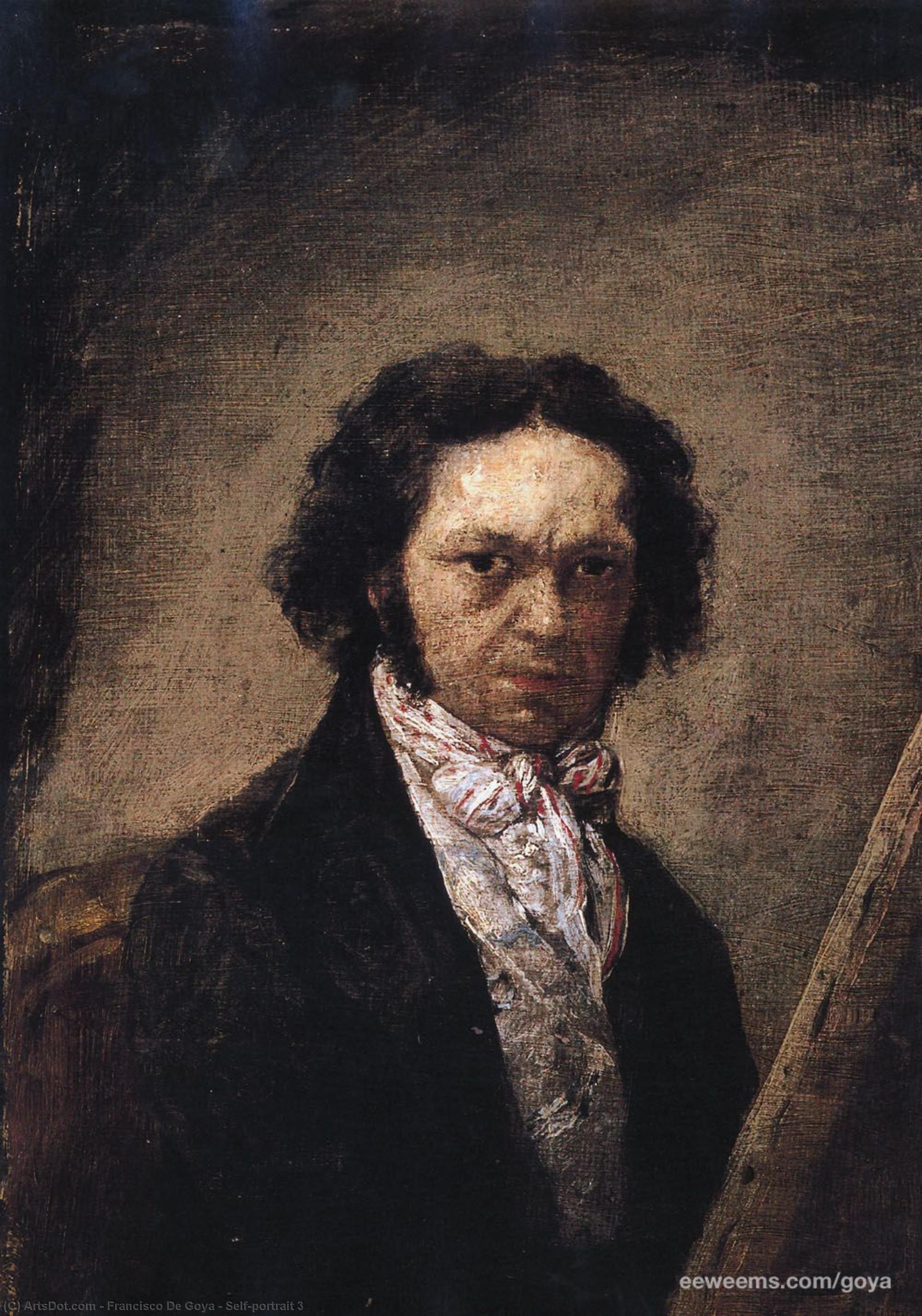 Wikioo.org – La Enciclopedia de las Bellas Artes - Pintura, Obras de arte de Francisco De Goya - autorretrato 3