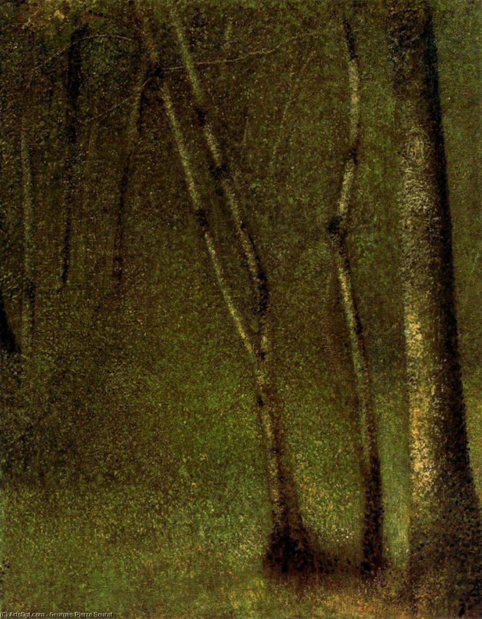 Wikoo.org - موسوعة الفنون الجميلة - اللوحة، العمل الفني Georges Pierre Seurat - Forest at Pontaubert