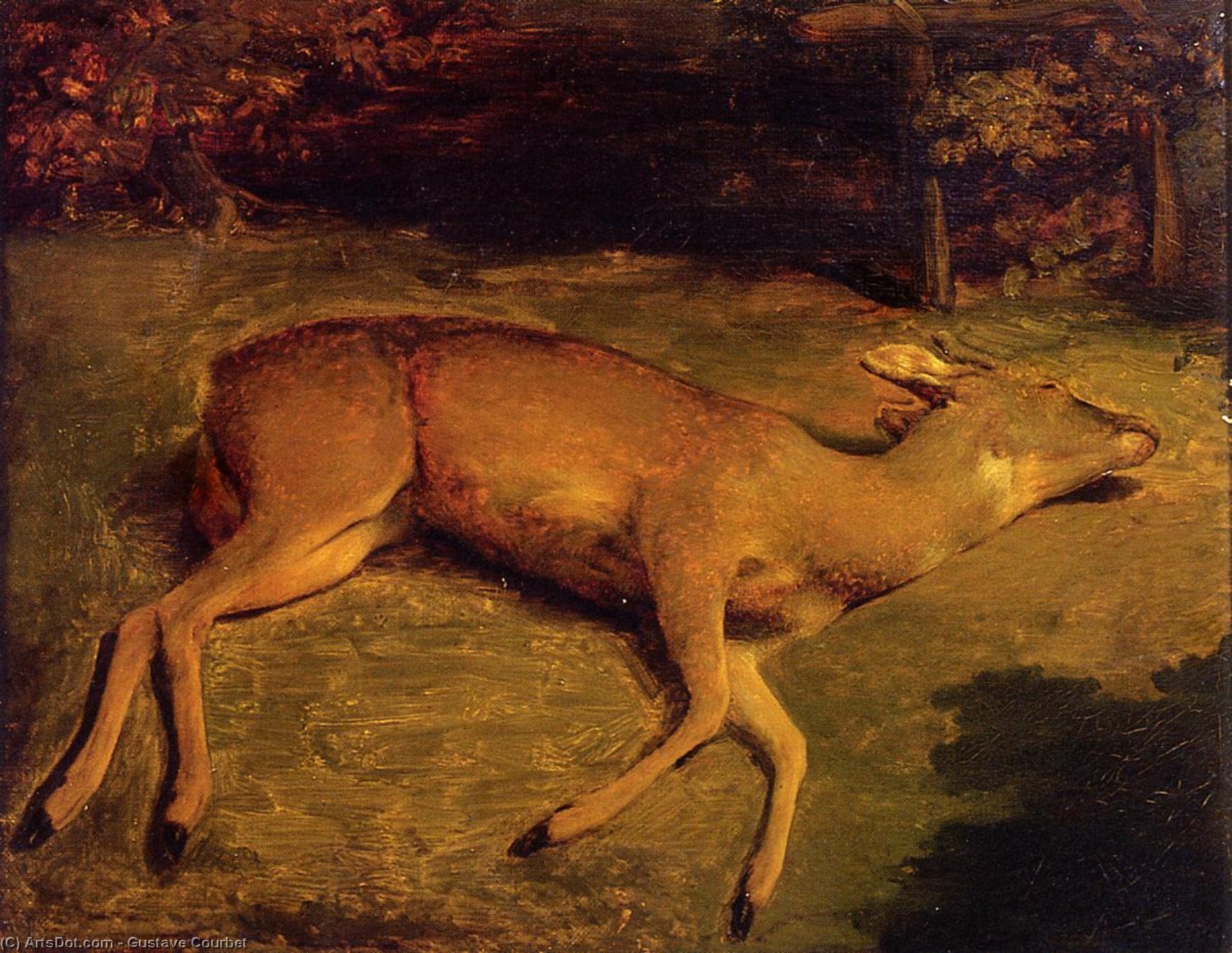 Wikioo.org - The Encyclopedia of Fine Arts - Painting, Artwork by Gustave Courbet - Dead Deer