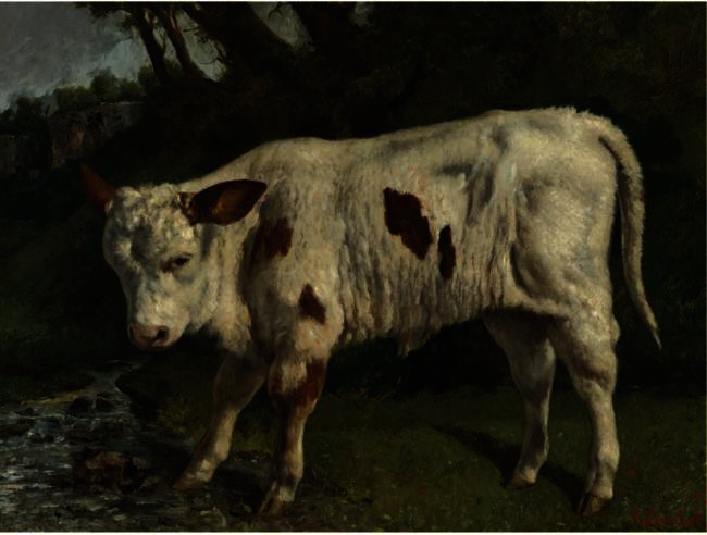 WikiOO.org - Encyclopedia of Fine Arts - Maalaus, taideteos Gustave Courbet - Le Veau Blanc