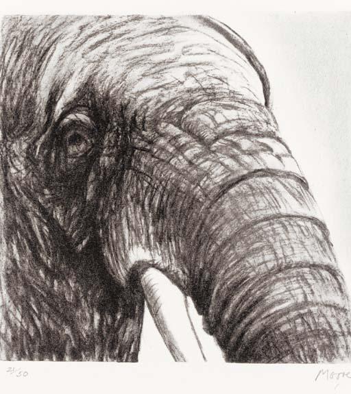 Wikioo.org – La Enciclopedia de las Bellas Artes - Pintura, Obras de arte de Henry Moore - Cabeza de Elefante