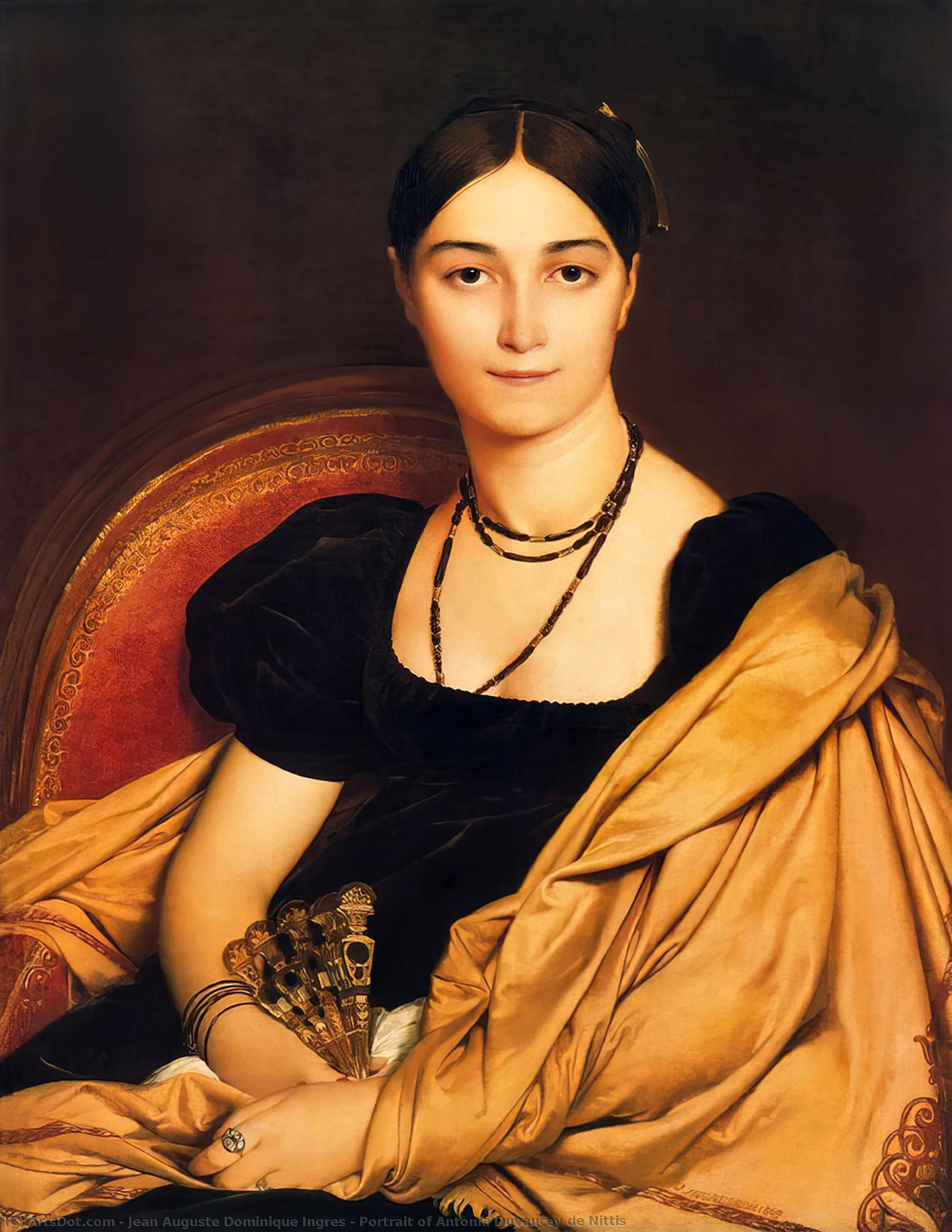 Wikoo.org - موسوعة الفنون الجميلة - اللوحة، العمل الفني Jean Auguste Dominique Ingres - Portrait of Antonia Duvaucey de Nittis