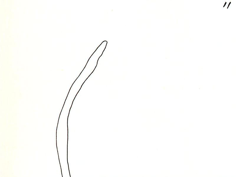 WikiOO.org - دایره المعارف هنرهای زیبا - نقاشی، آثار هنری Joan Miro - Apunts per al llibre Lapidari 11