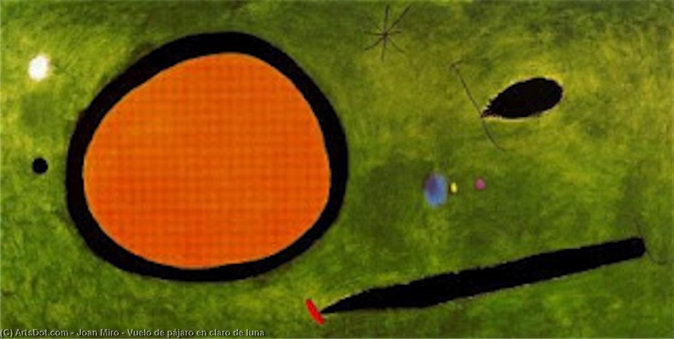 Wikioo.org - The Encyclopedia of Fine Arts - Painting, Artwork by Joan Miro - Vuelo de pájaro en claro de luna