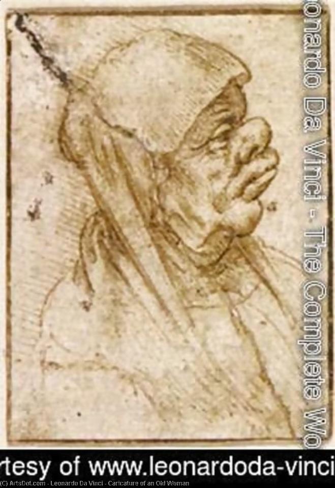 Wikioo.org - Encyklopedia Sztuk Pięknych - Malarstwo, Grafika Leonardo Da Vinci - Caricature of an Old Woman