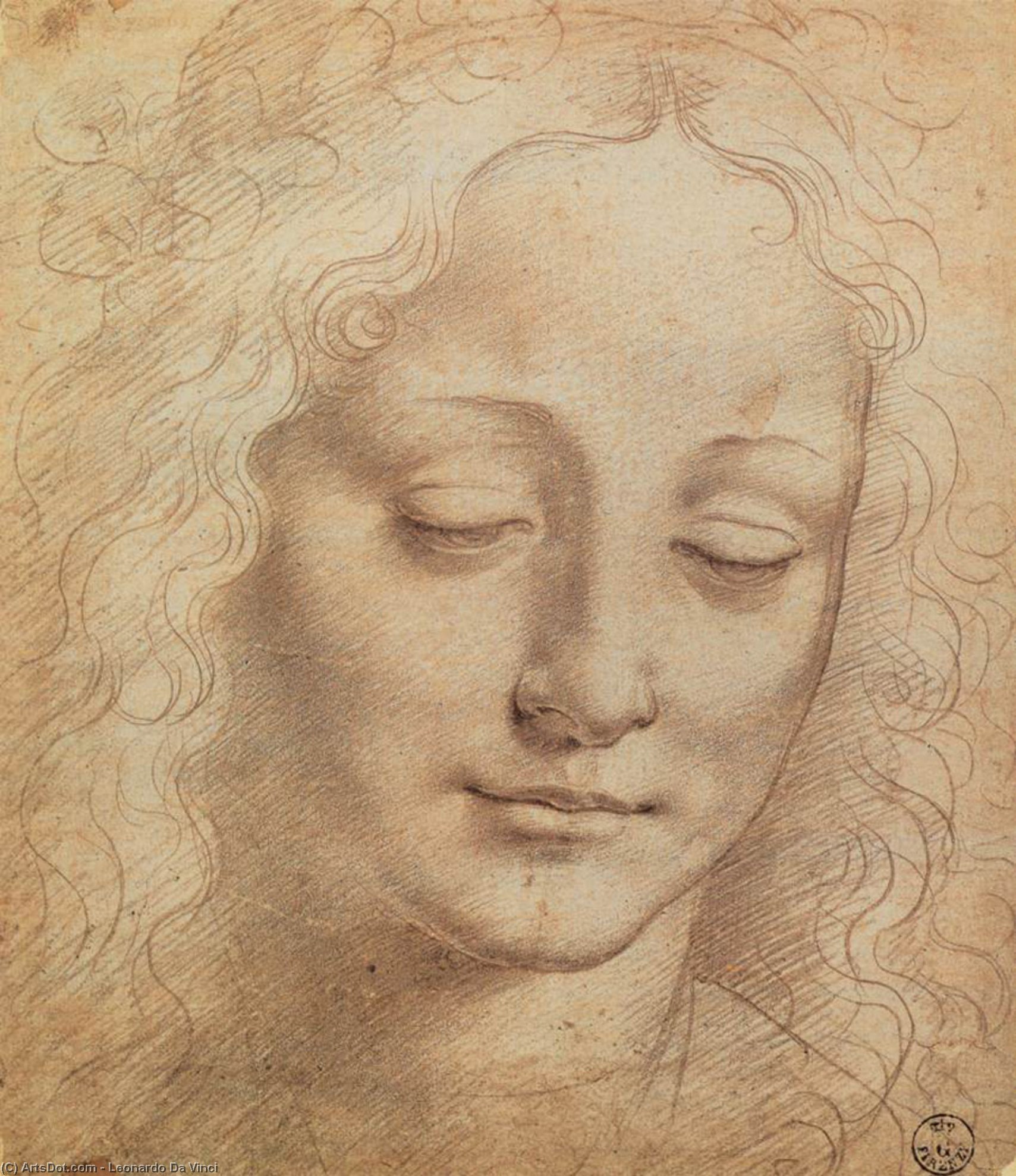 WikiOO.org - Encyclopedia of Fine Arts - Lukisan, Artwork Leonardo Da Vinci - Female Head