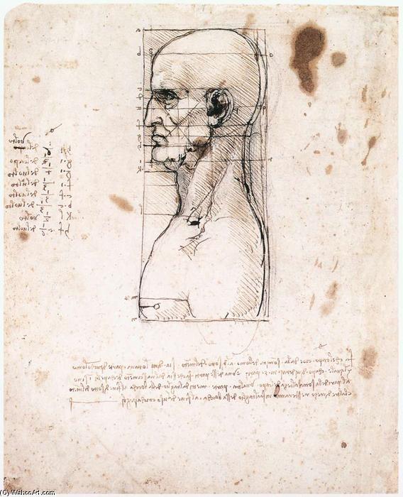 Wikioo.org - The Encyclopedia of Fine Arts - Painting, Artwork by Leonardo Da Vinci - Male head in profile with proportions