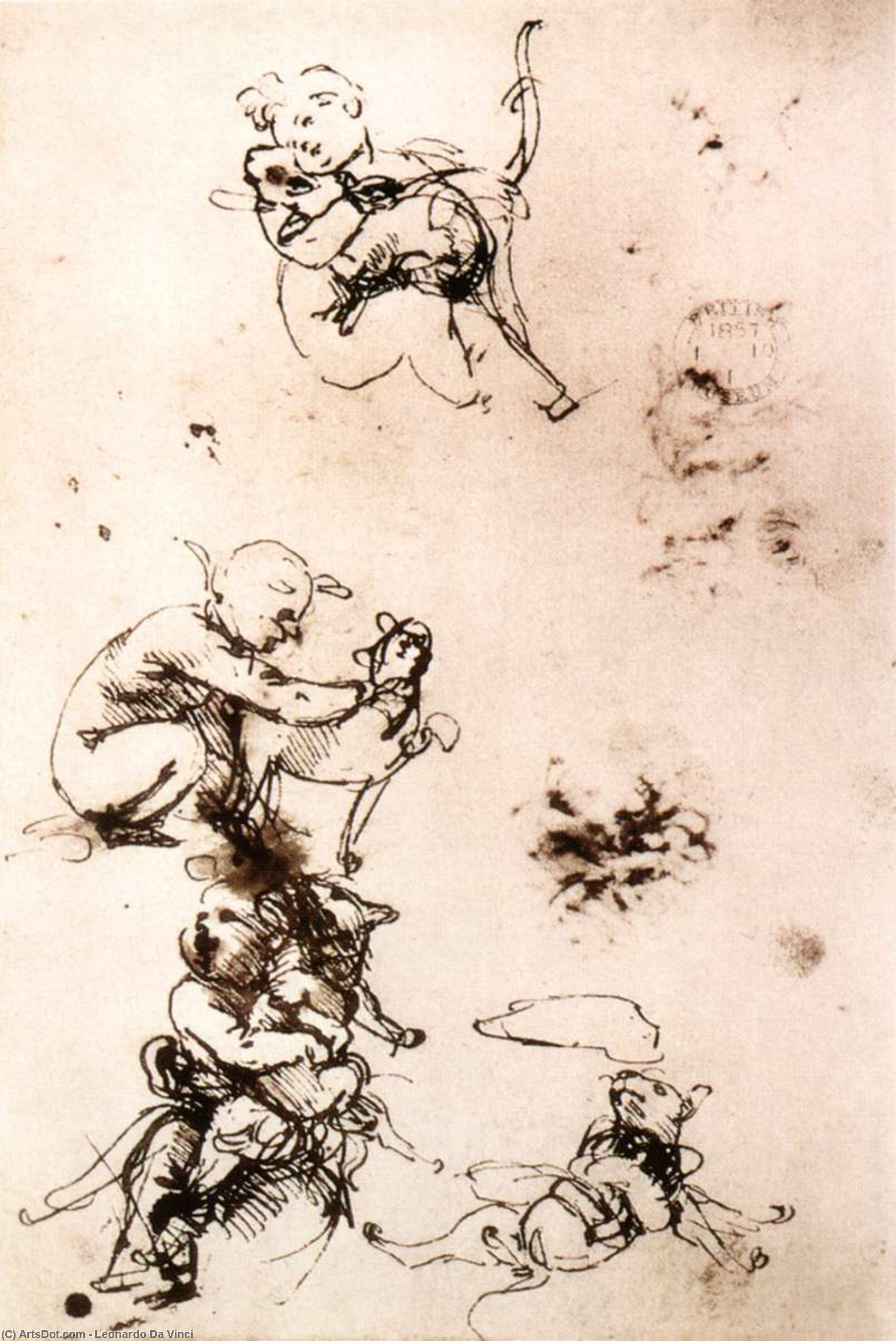WikiOO.org - Encyclopedia of Fine Arts - Lukisan, Artwork Leonardo Da Vinci - Study of a child with a cat