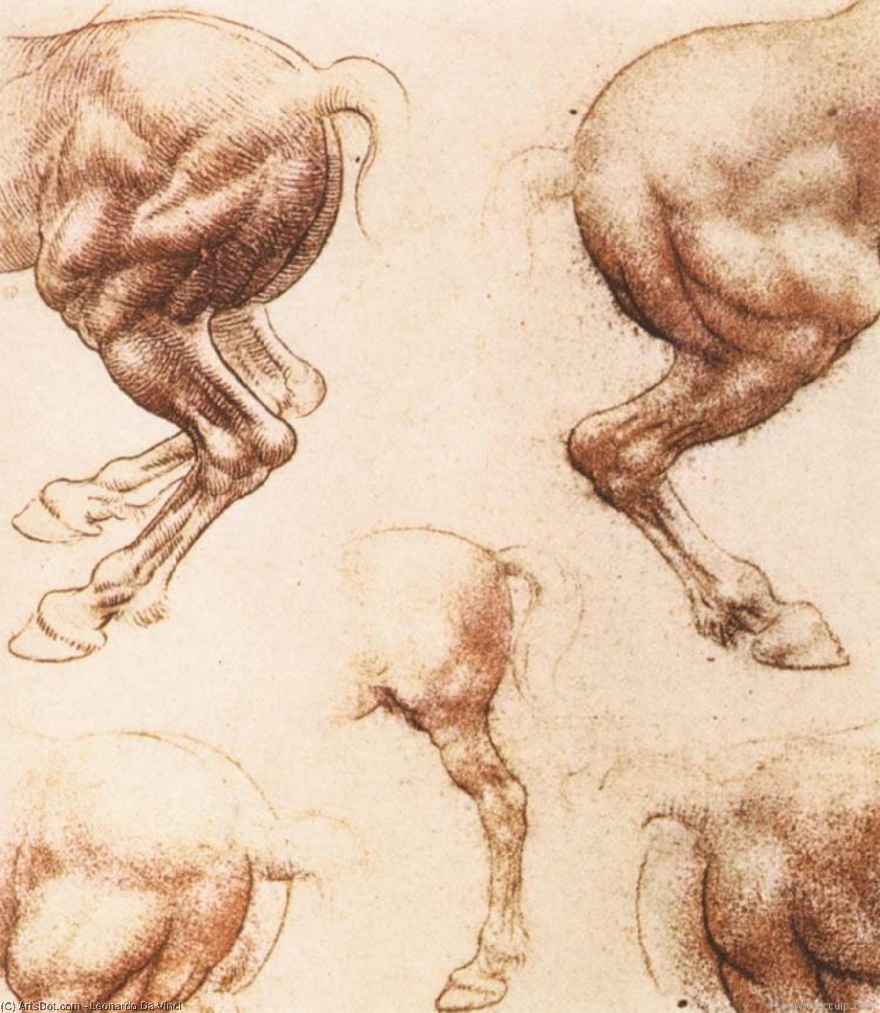 Wikoo.org - موسوعة الفنون الجميلة - اللوحة، العمل الفني Leonardo Da Vinci - Study of horses 1