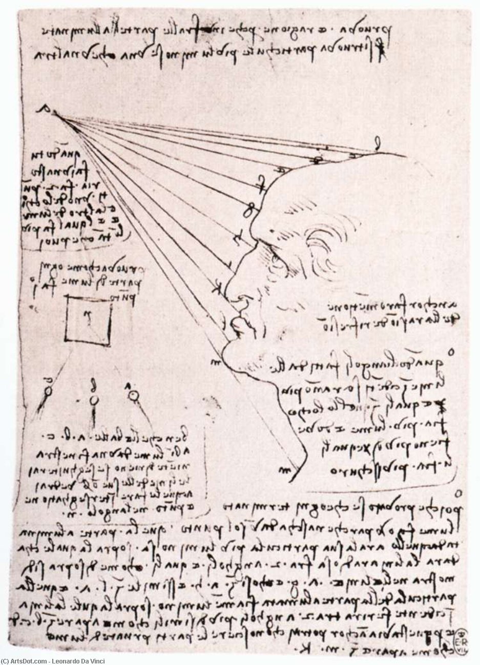 Wikioo.org - The Encyclopedia of Fine Arts - Painting, Artwork by Leonardo Da Vinci - Study of the effect of light on a profile head (facsimile)
