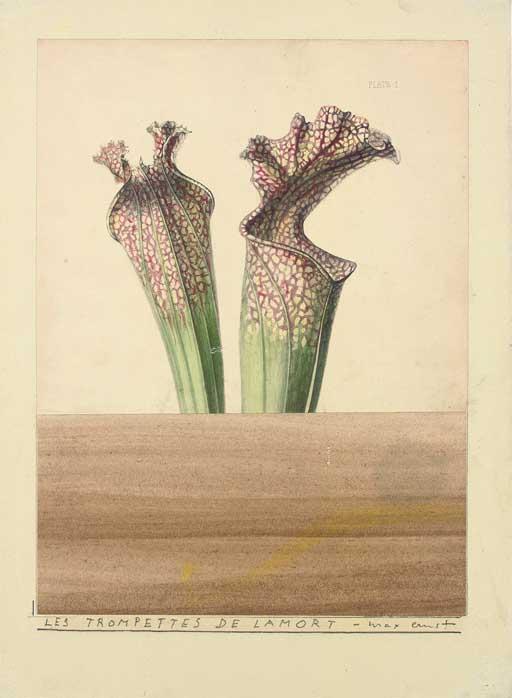 WikiOO.org - Енциклопедия за изящни изкуства - Живопис, Произведения на изкуството Max Ernst - Les trompettes de lamort