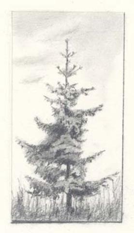 WikiOO.org - Encyclopedia of Fine Arts - Schilderen, Artwork Nicholas Roerich - Fir tree