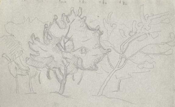 WikiOO.org - Encyclopedia of Fine Arts - Lukisan, Artwork Nicholas Roerich - Sketch of trees