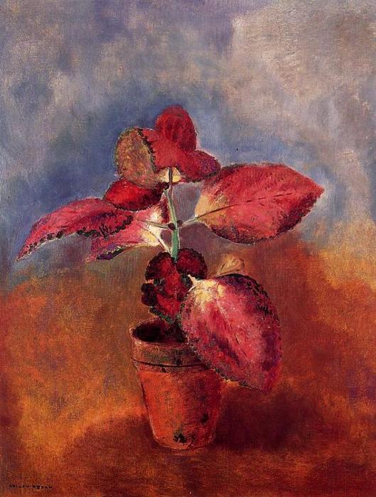 Wikioo.org - The Encyclopedia of Fine Arts - Painting, Artwork by Odilon Redon - Begonia in a Pot