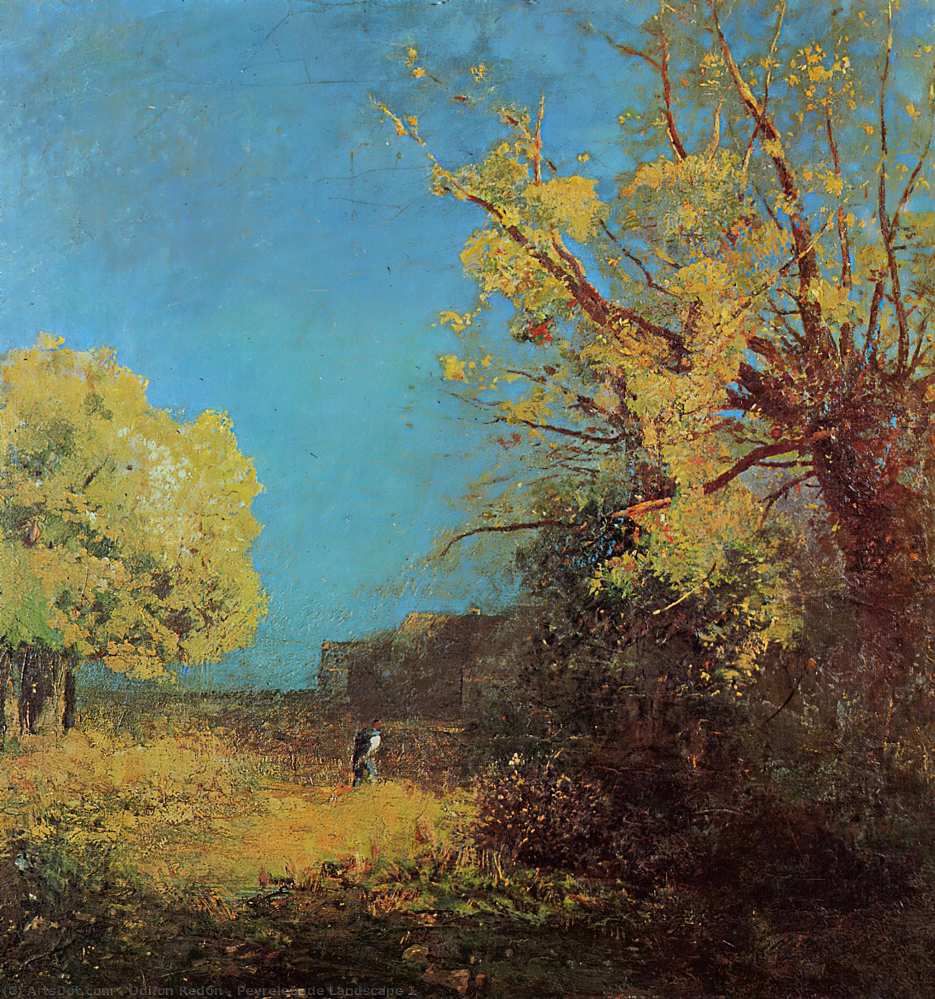 WikiOO.org - Enciklopedija dailės - Tapyba, meno kuriniai Odilon Redon - Peyrelebade Landscape 1