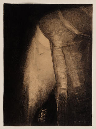 Wikioo.org - The Encyclopedia of Fine Arts - Painting, Artwork by Odilon Redon - The Fairy (Profile of Light)
