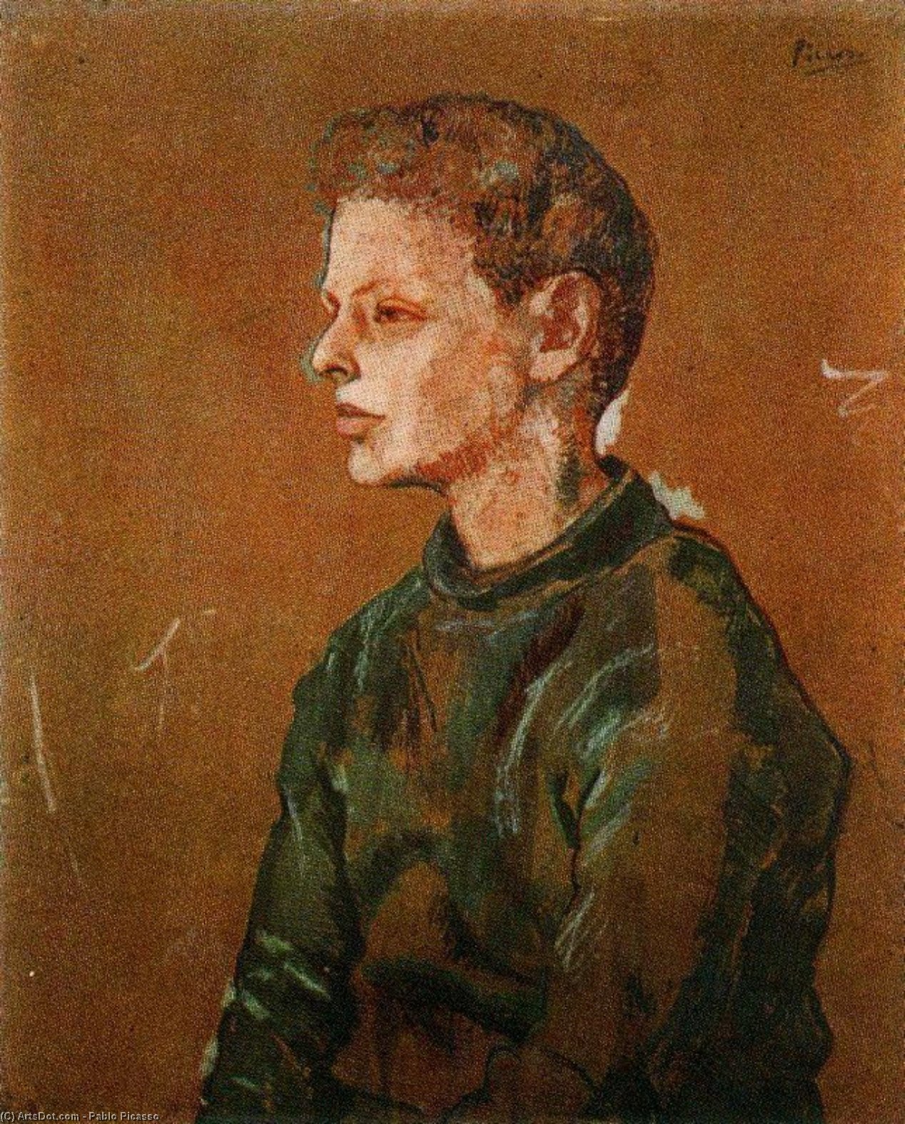 Wikioo.org – L'Enciclopedia delle Belle Arti - Pittura, Opere di Pablo Picasso - Ritratto di Allan Stein