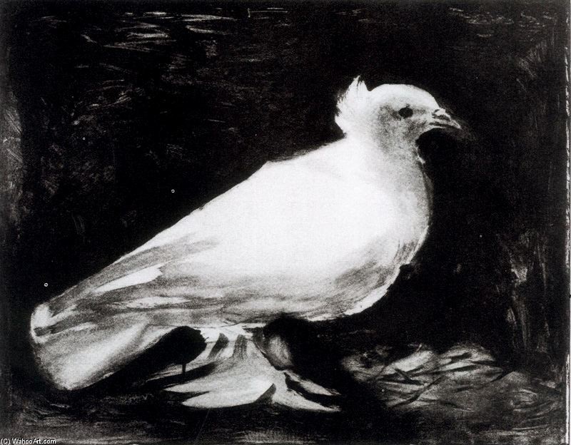 Wikioo.org - สารานุกรมวิจิตรศิลป์ - จิตรกรรม Pablo Picasso - The pigeon