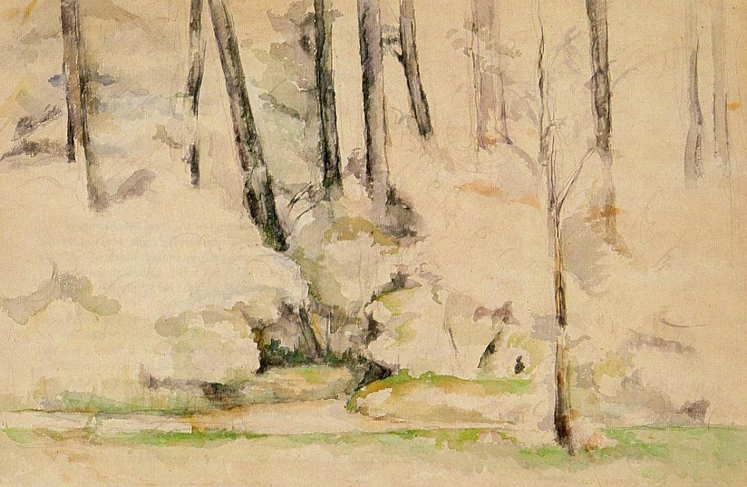 Wikioo.org - สารานุกรมวิจิตรศิลป์ - จิตรกรรม Paul Cezanne - Into the Woods