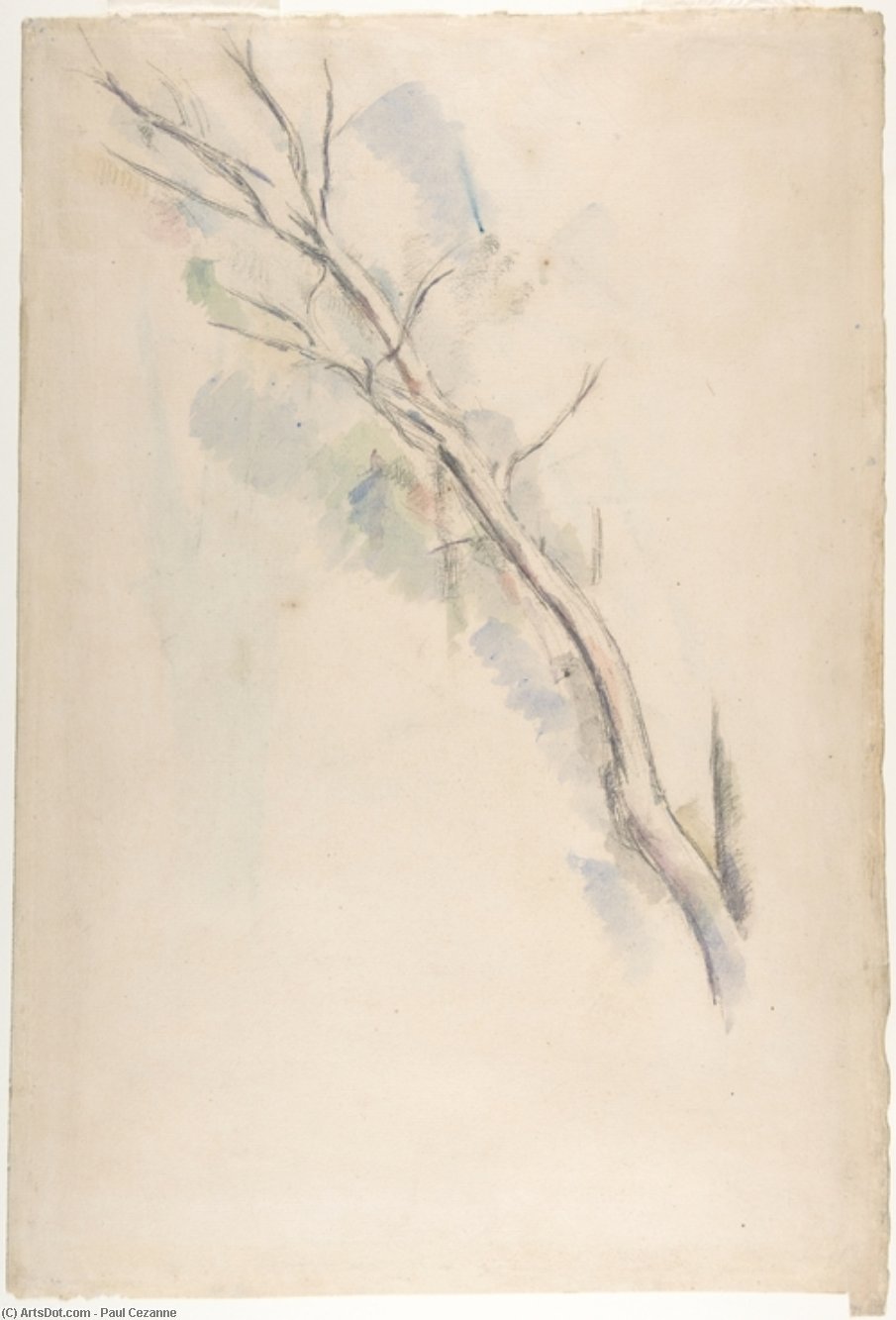 Wikioo.org - The Encyclopedia of Fine Arts - Painting, Artwork by Paul Cezanne - Studies of a tree