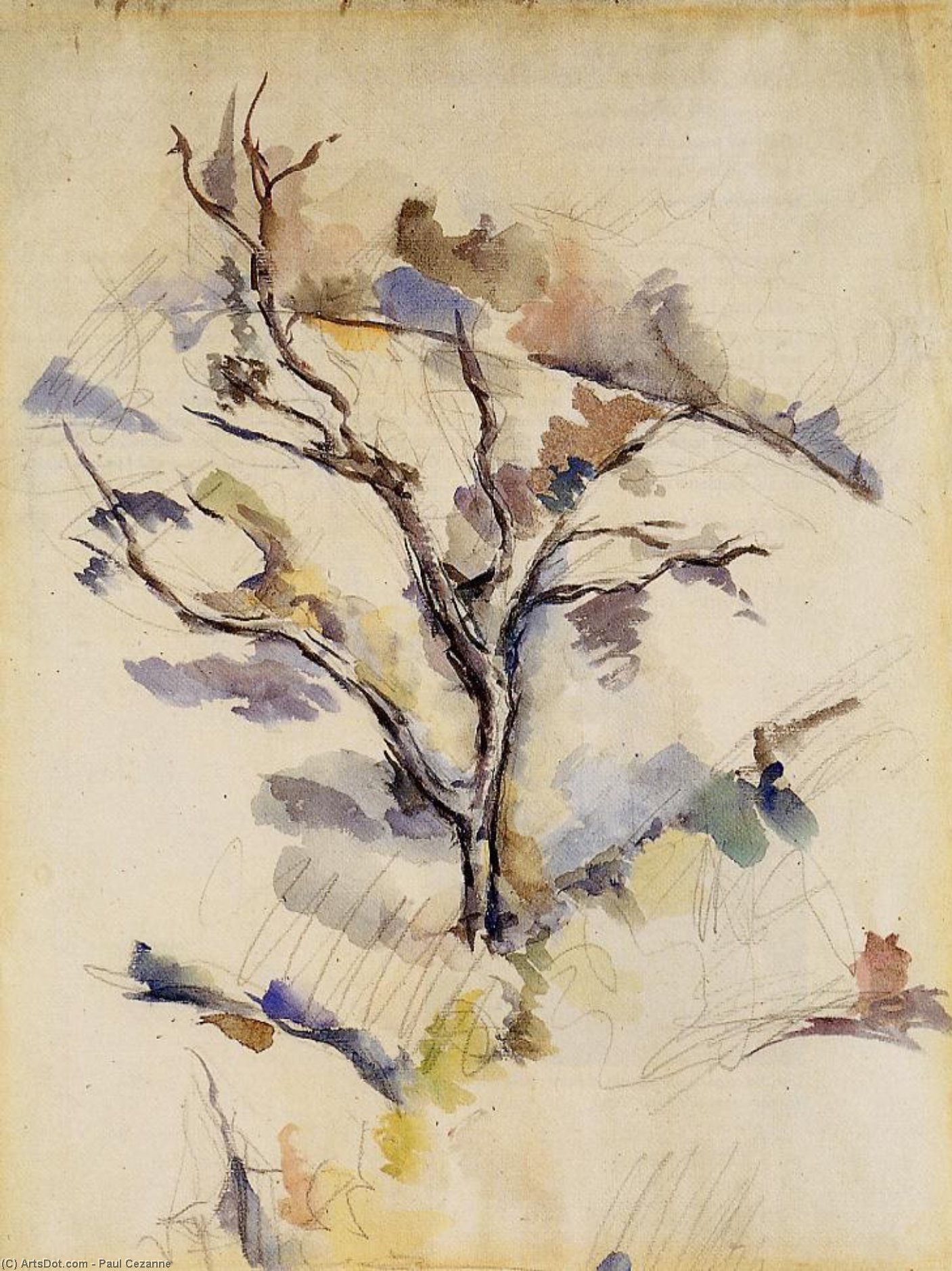 Wikioo.org - The Encyclopedia of Fine Arts - Painting, Artwork by Paul Cezanne - The Oak Tree