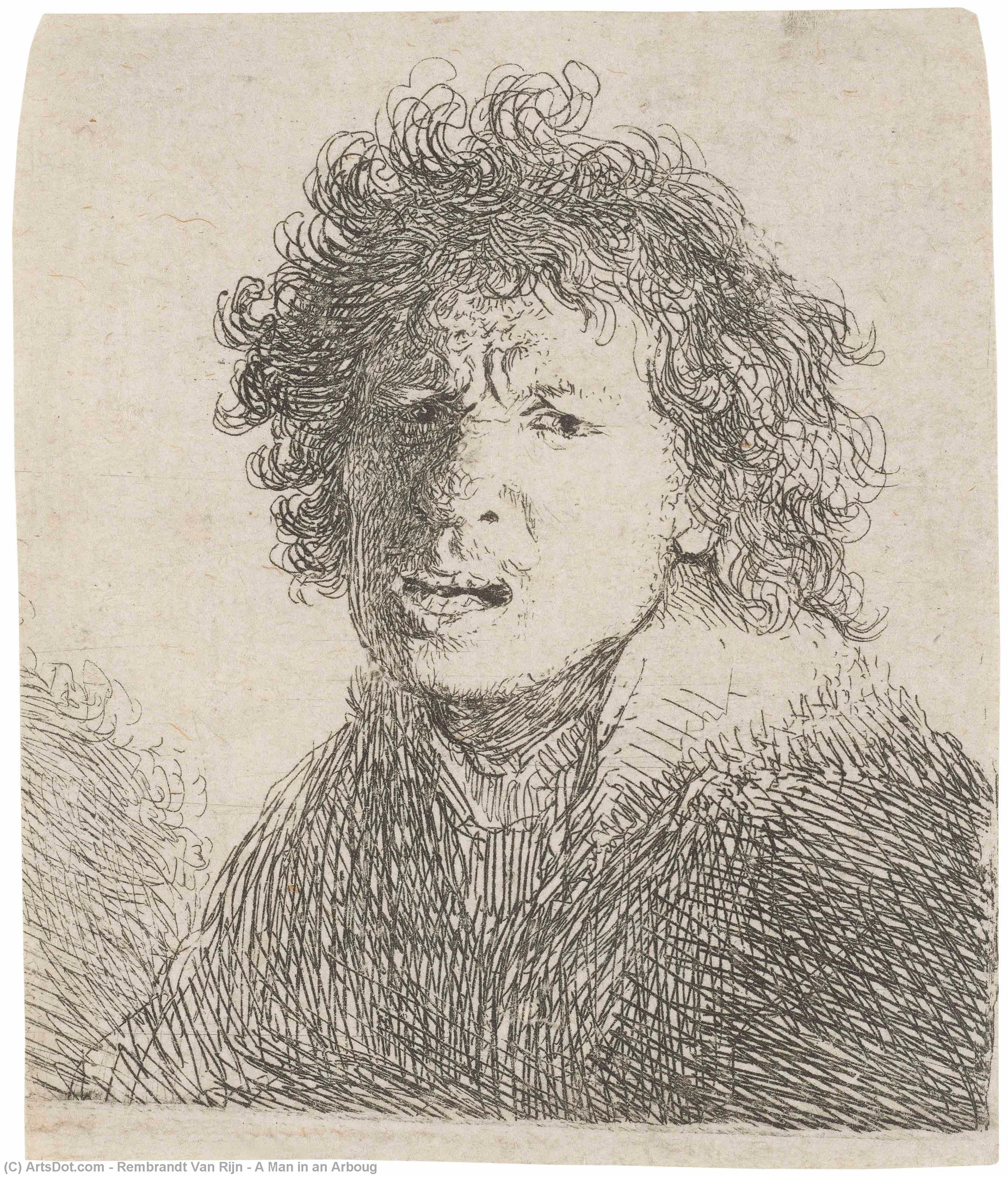 Wikioo.org - The Encyclopedia of Fine Arts - Painting, Artwork by Rembrandt Van Rijn - A Man in an Arboug